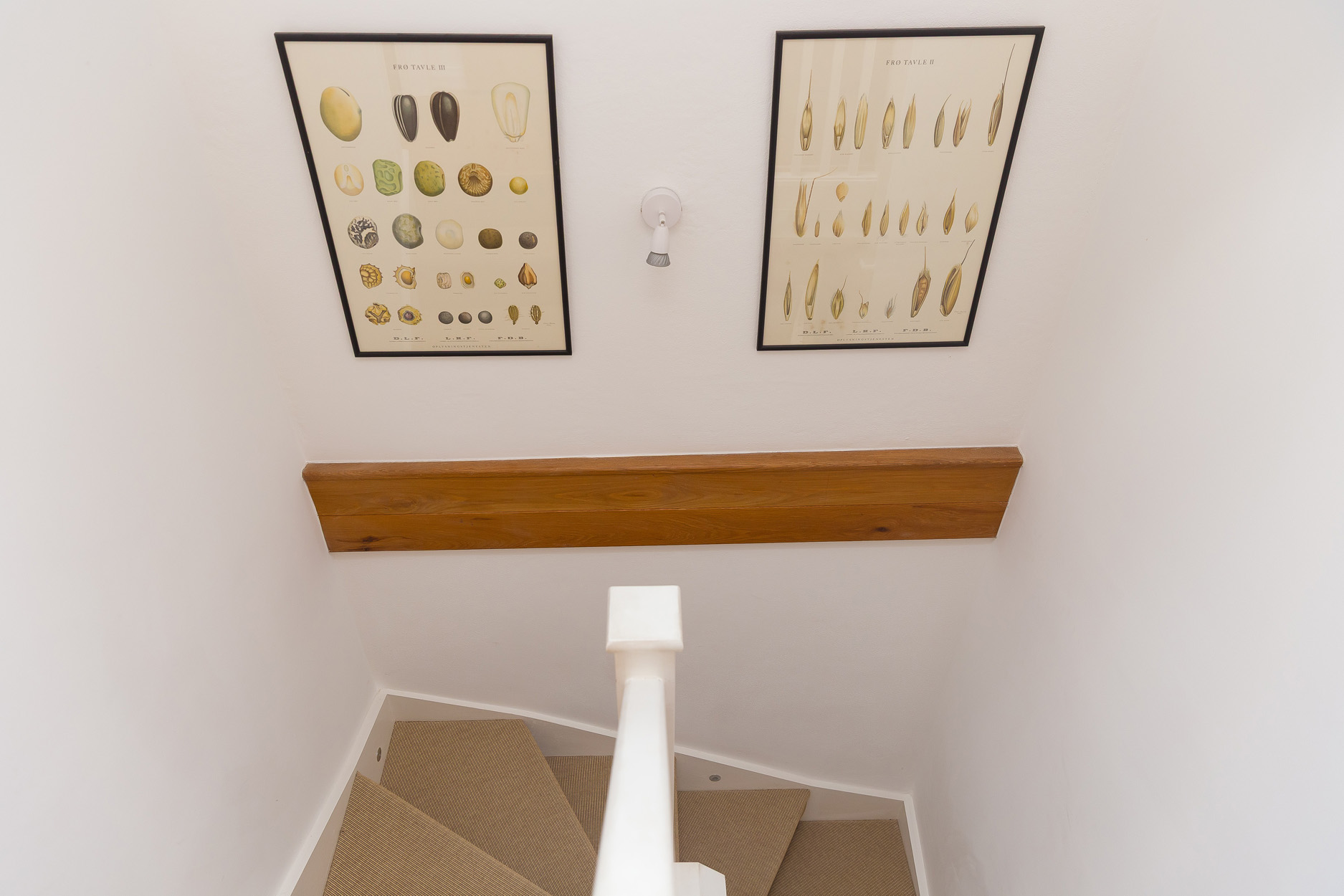 Property image 18 for SC1130045