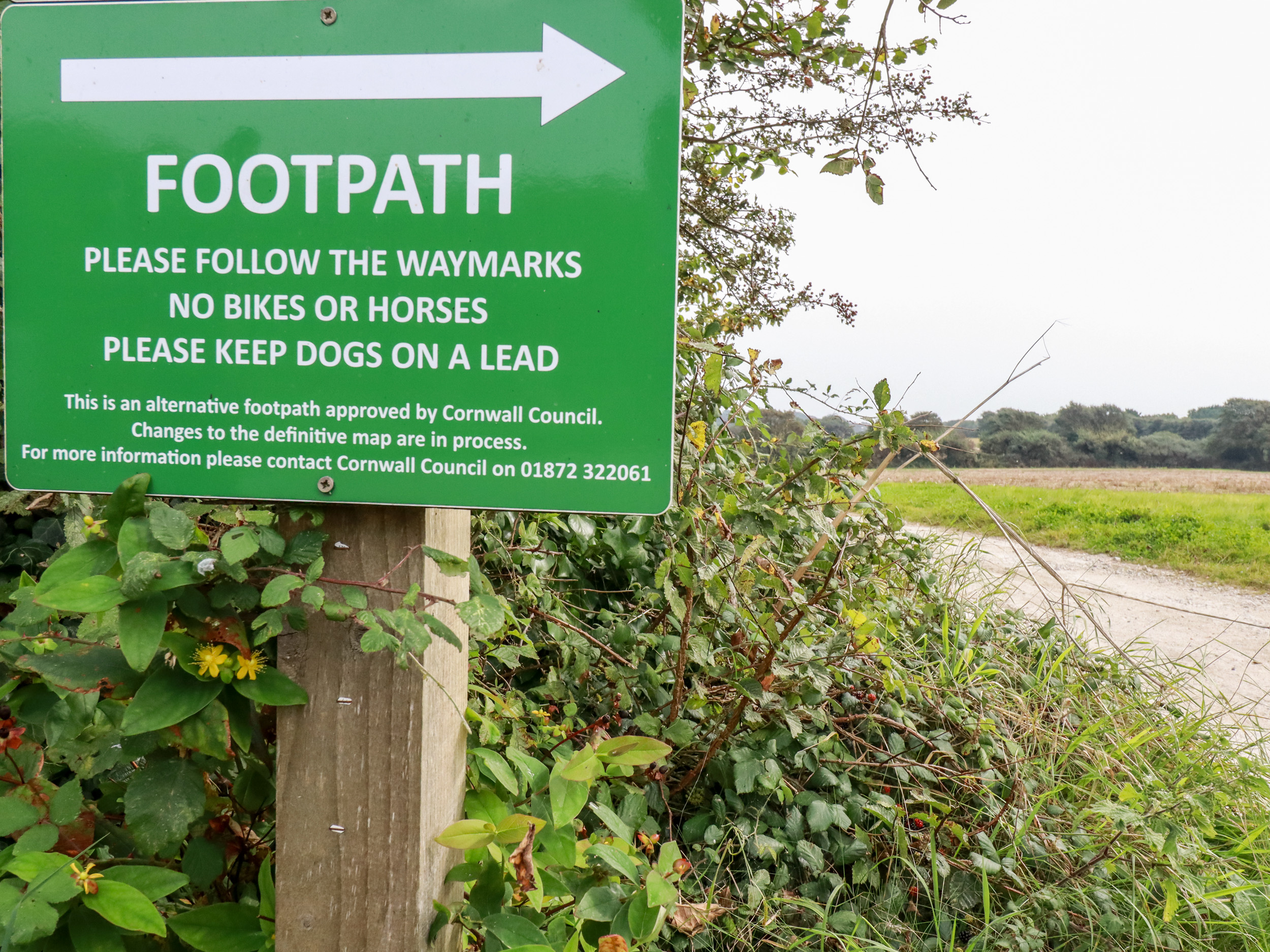 Property image 61 for SC1130047