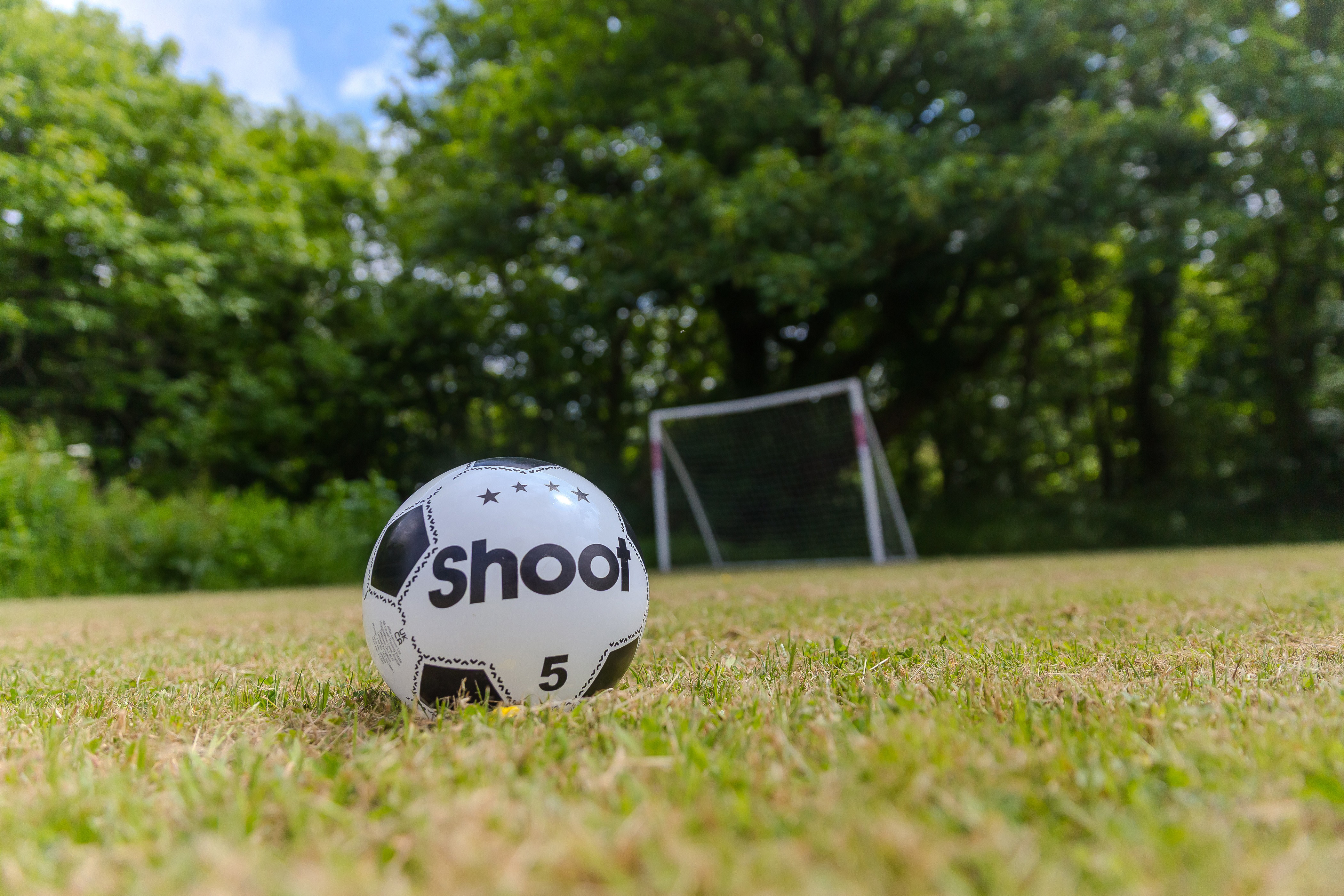 Property image 67 for SC1130047