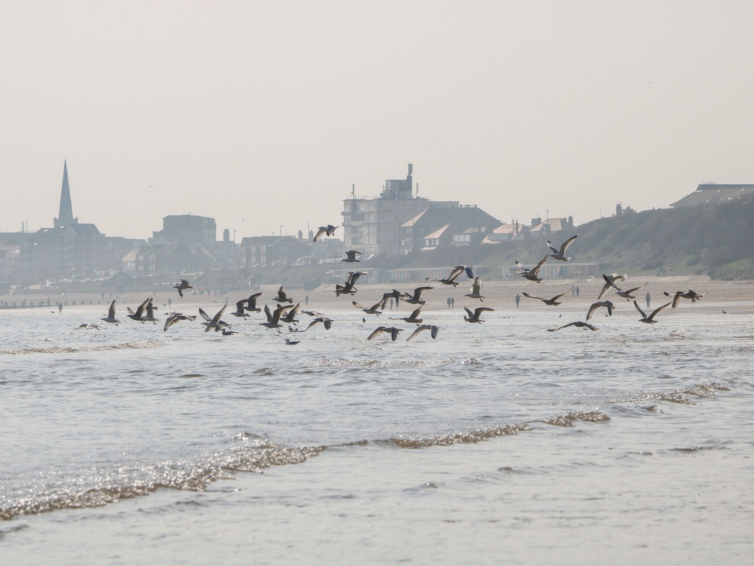 Property image 25 for SC1131486