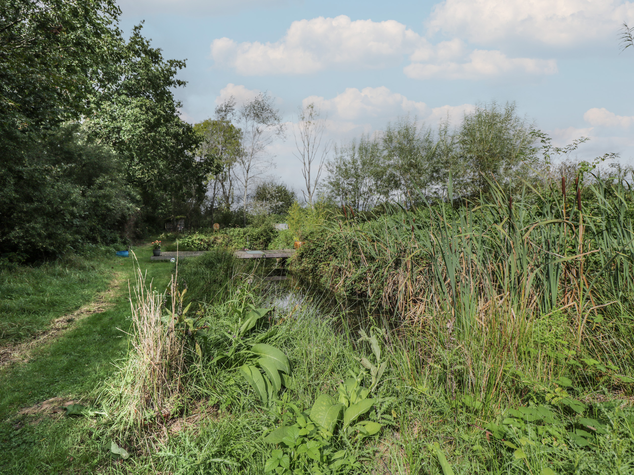 Property image 22 for SC1132052