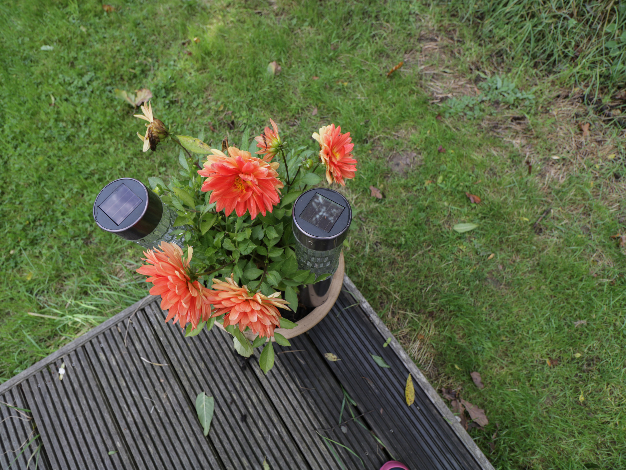 Property image 19 for SC1132056