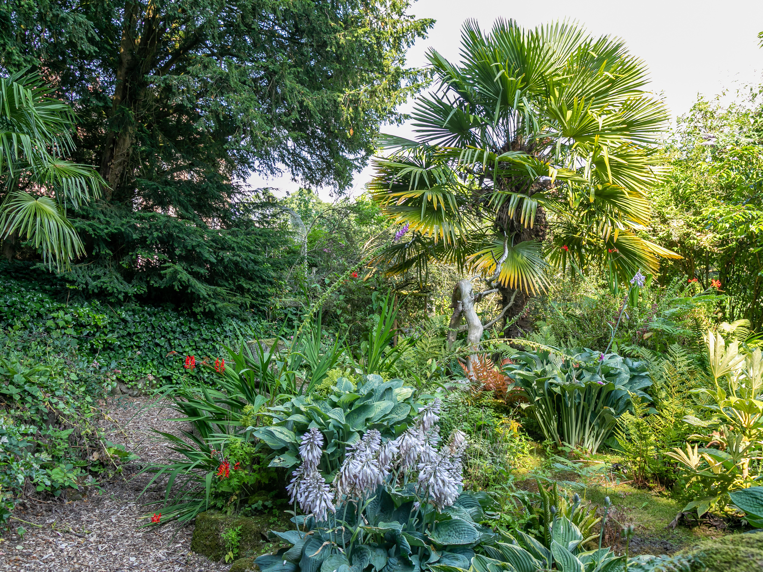 Property image 26 for SC1132544