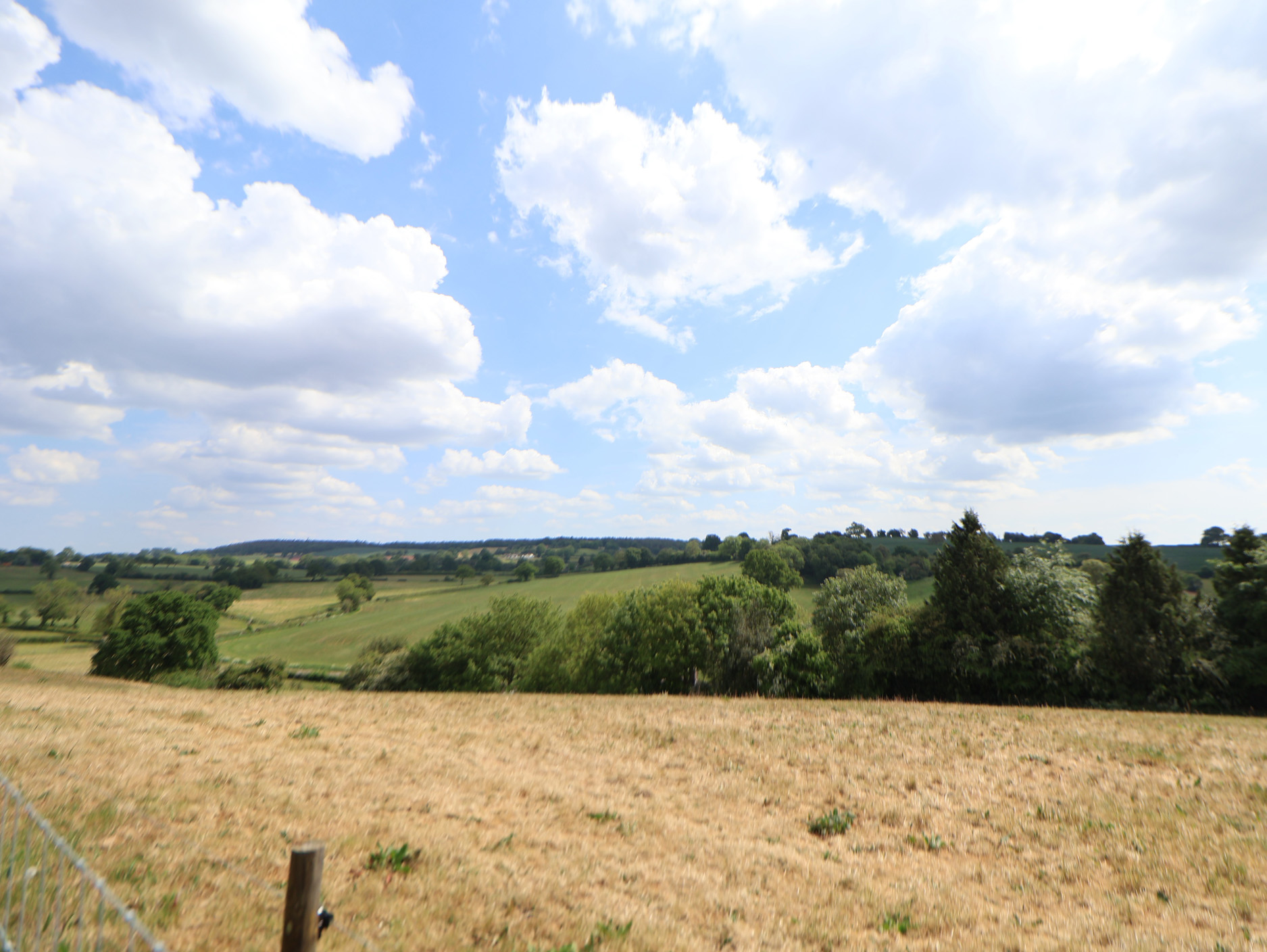 Property image 26 for SC1133496