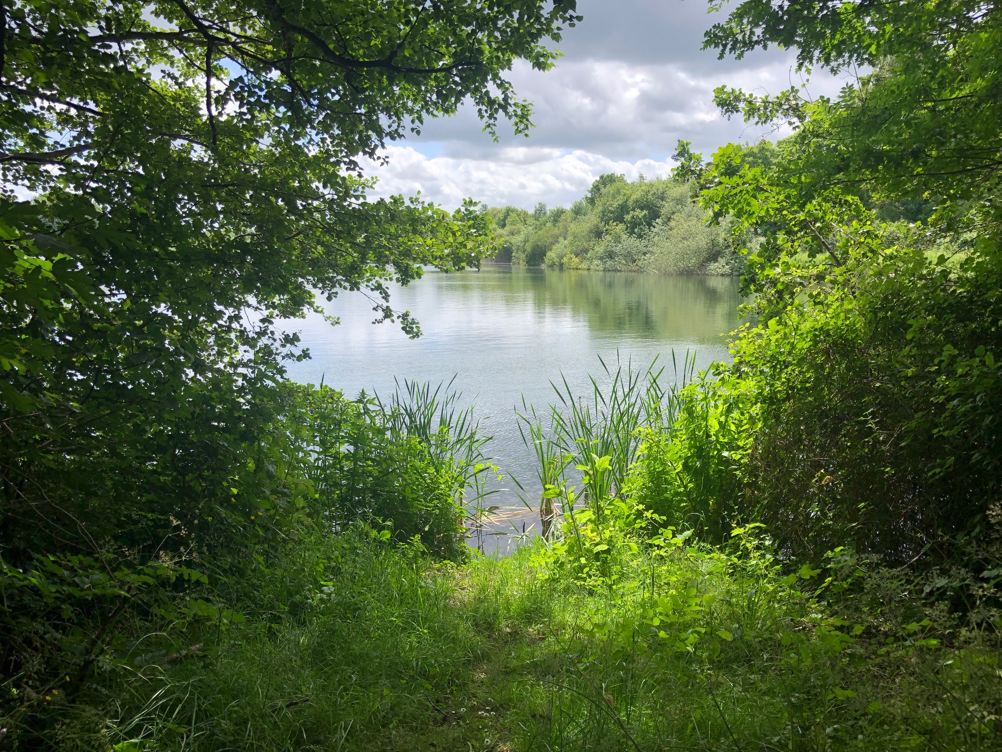 Property image 26 for SC1134240