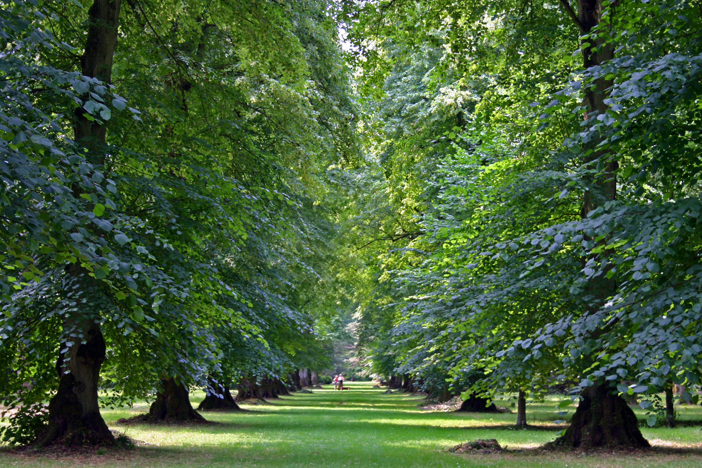 Property image 27 for SC1134240