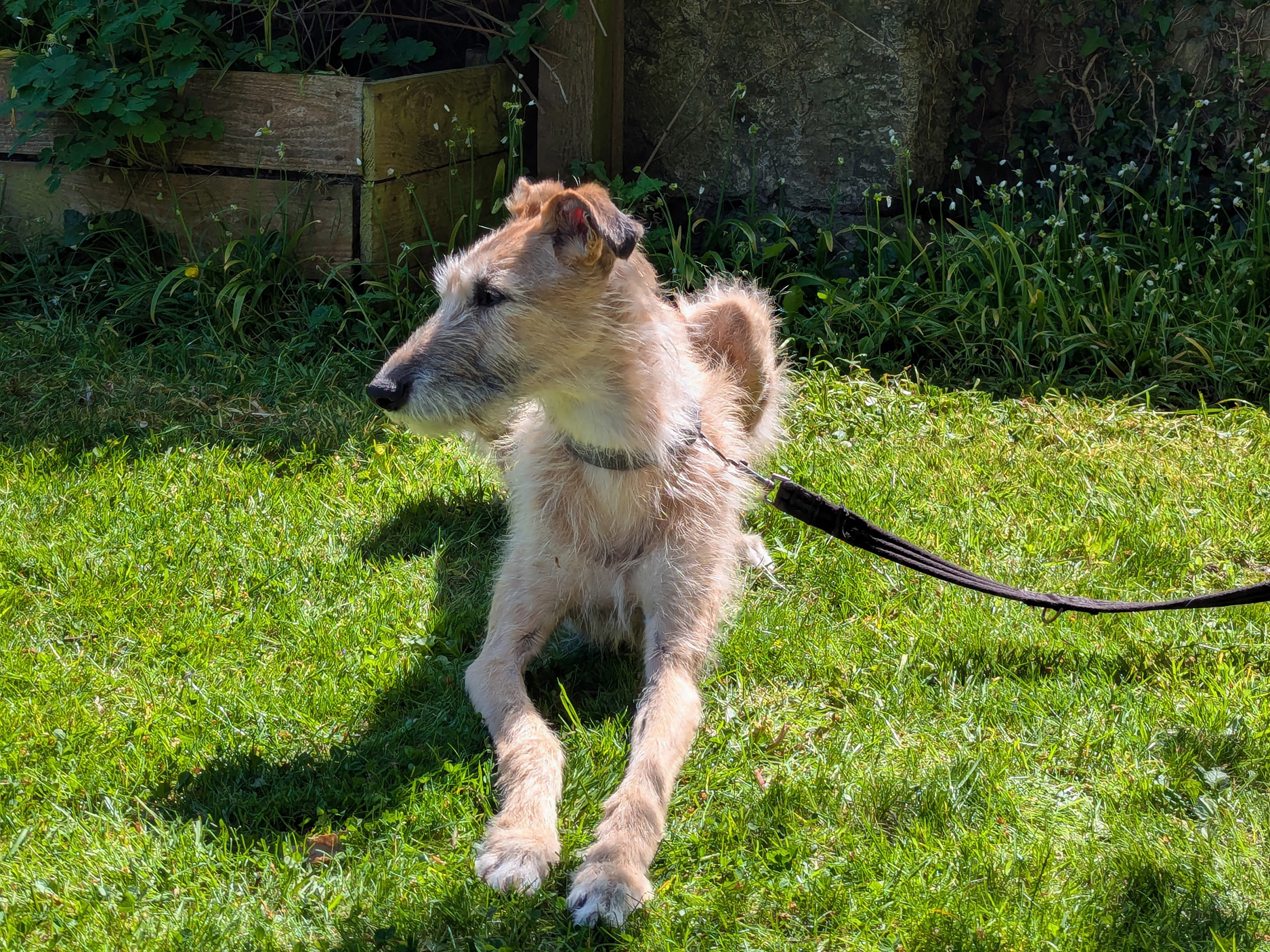 Property image 4 for SC1135042