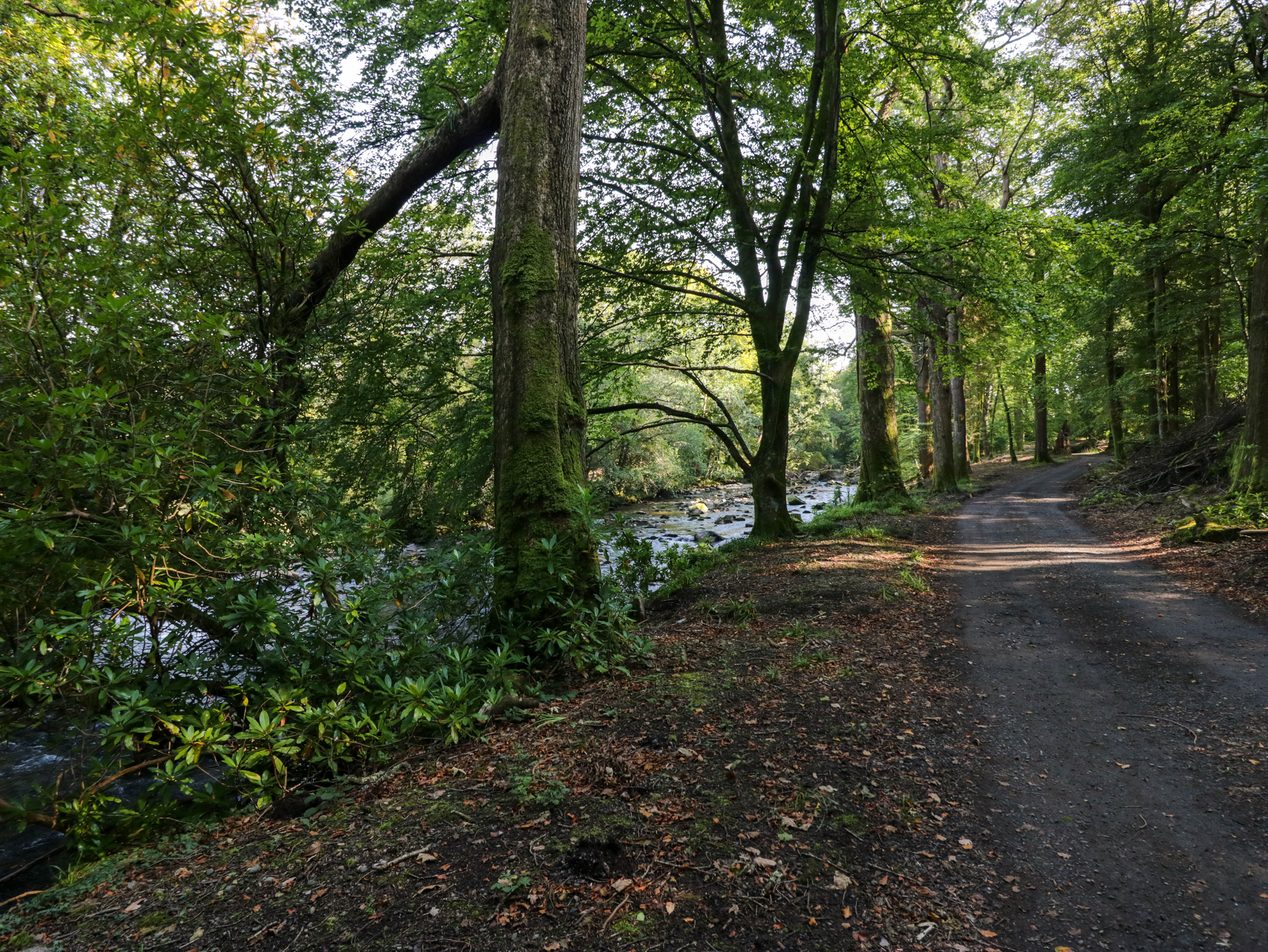 Property image 30 for SC1135822