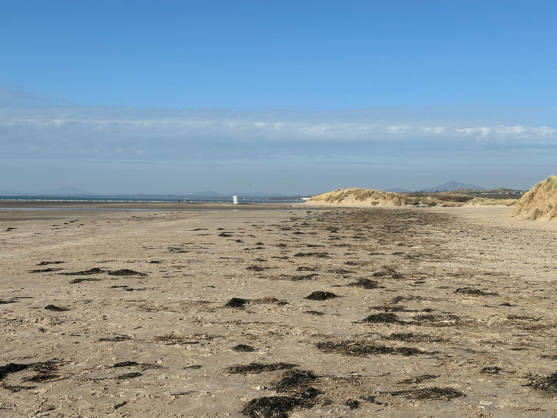 Property image 44 for SC1136246