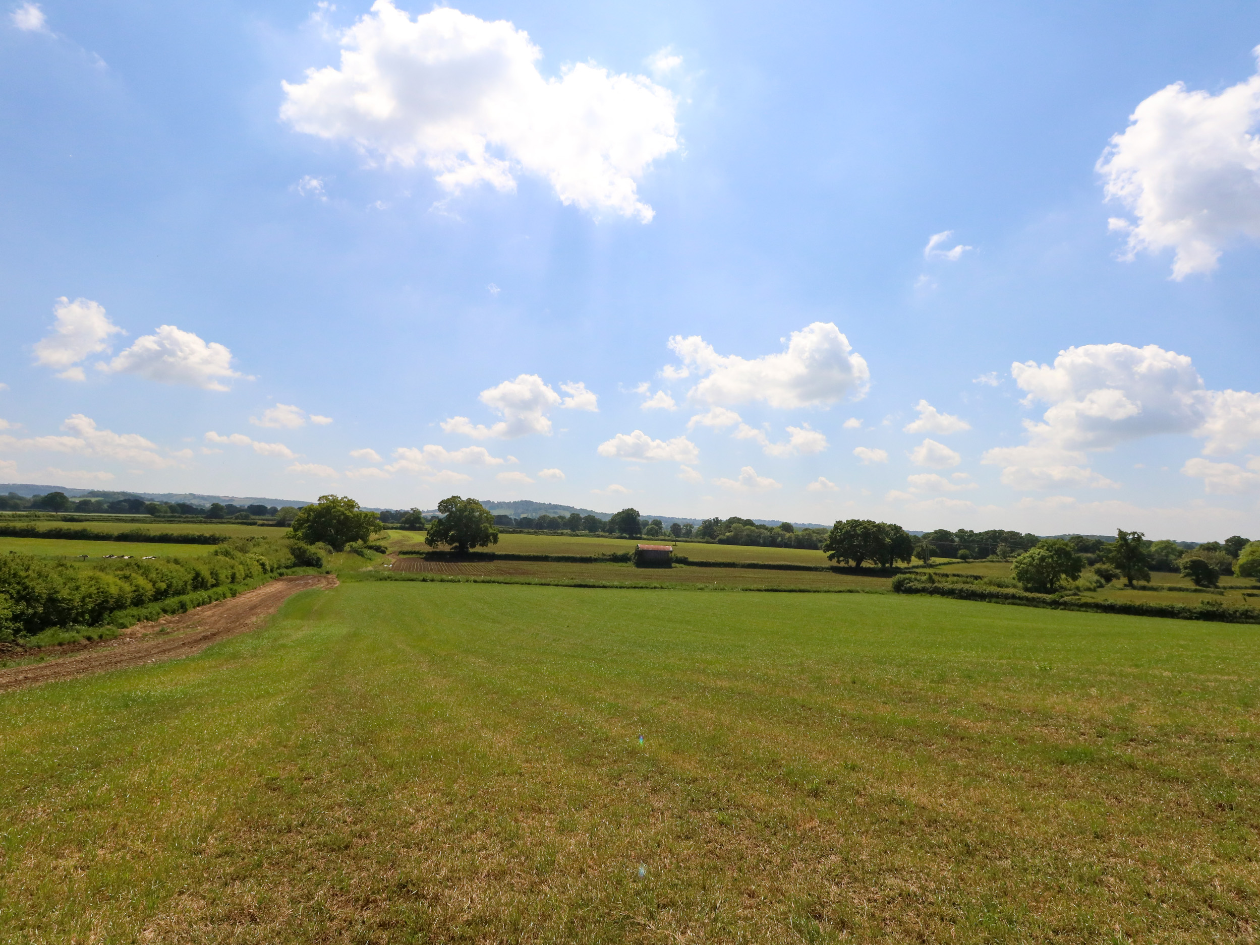 Property image 30 for SC1136665