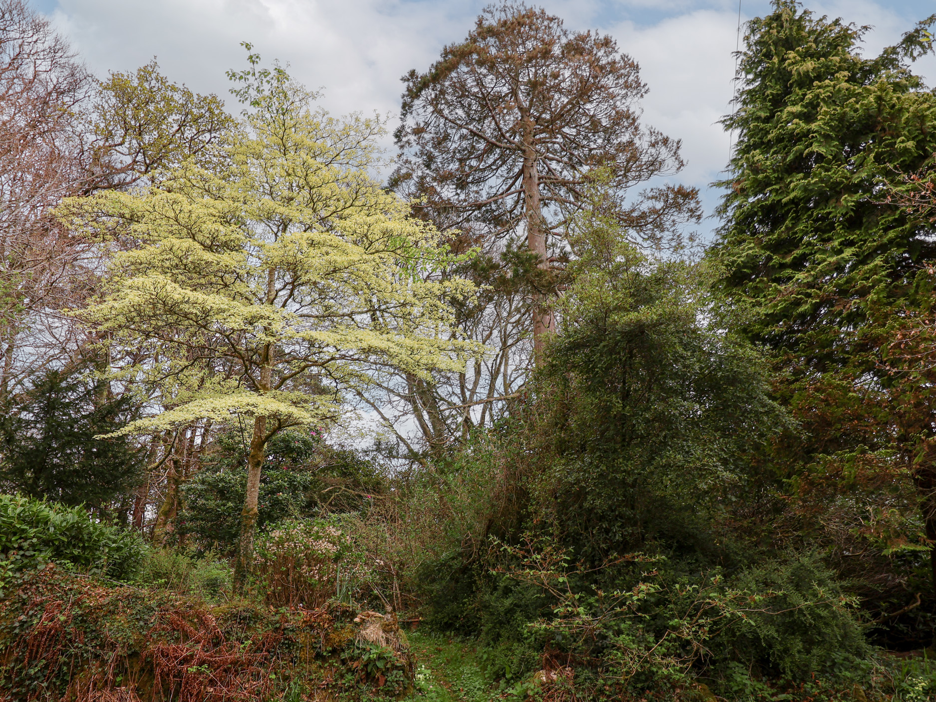 Property image 22 for SC1136705