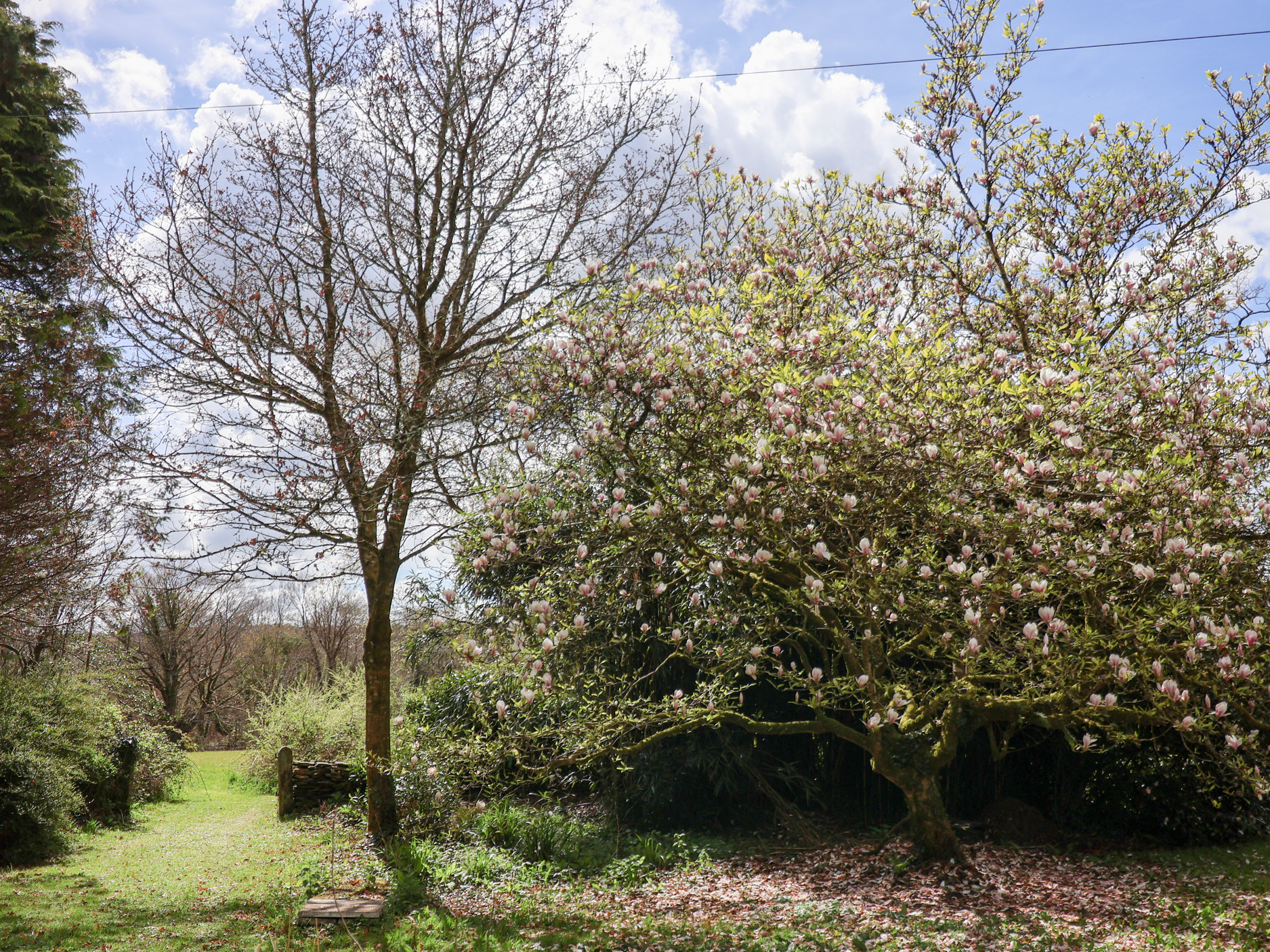 Property image 26 for SC1136705