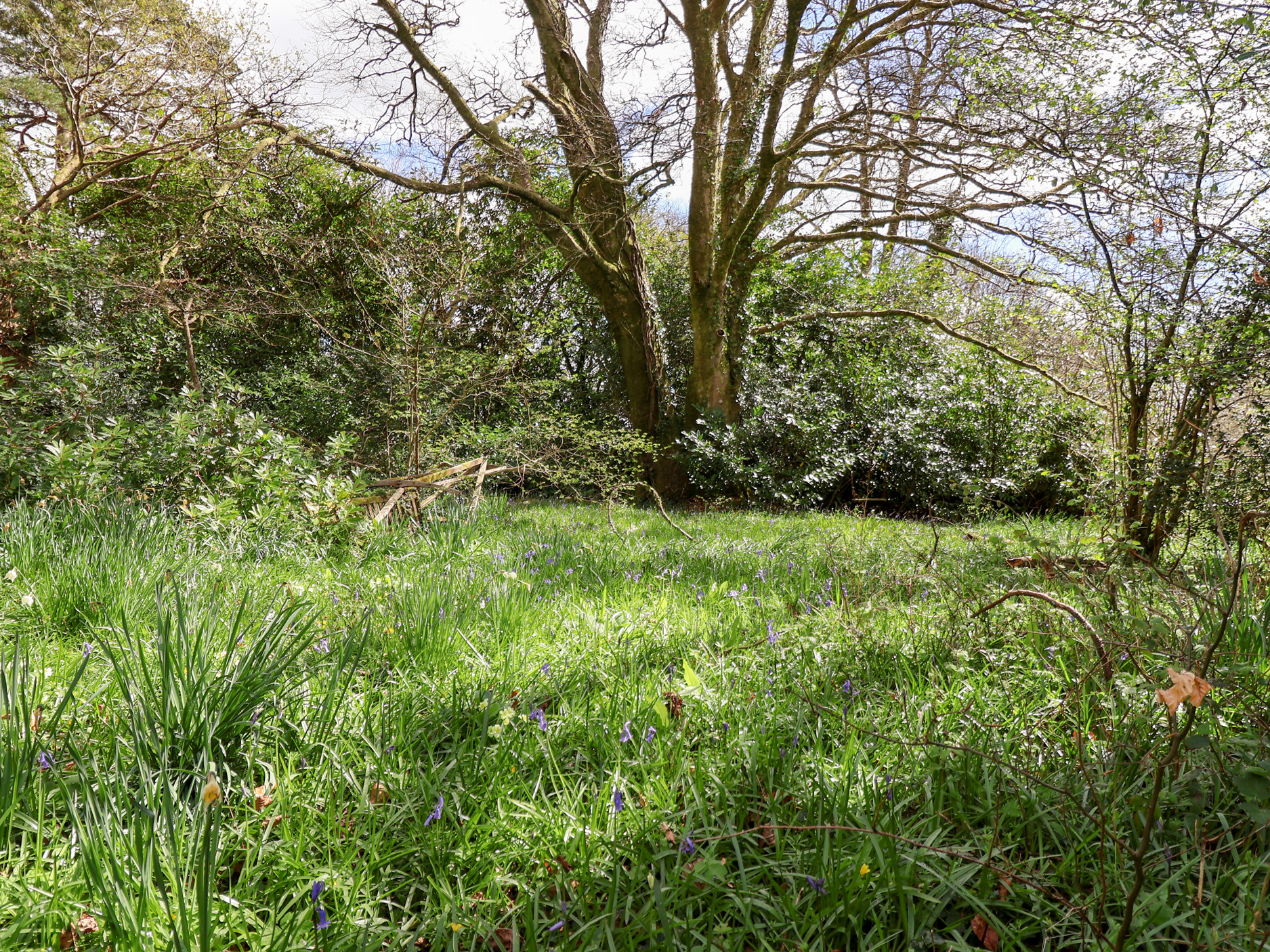 Property image 27 for SC1136705