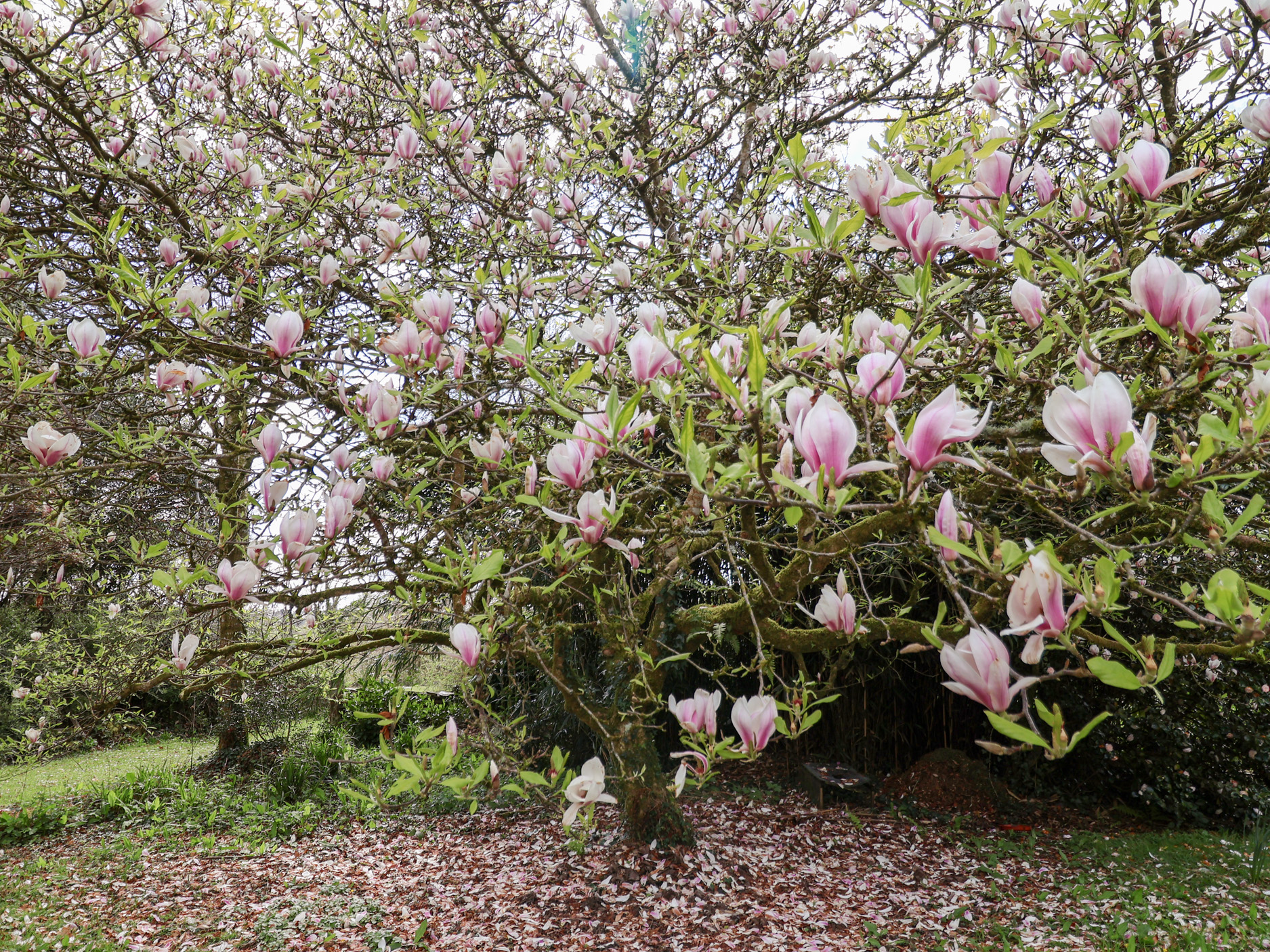 Property image 30 for SC1136705