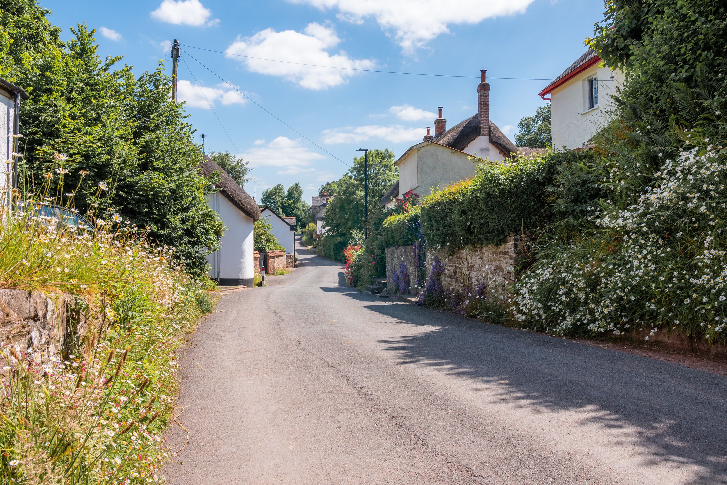 Property image 21 for SC1136873