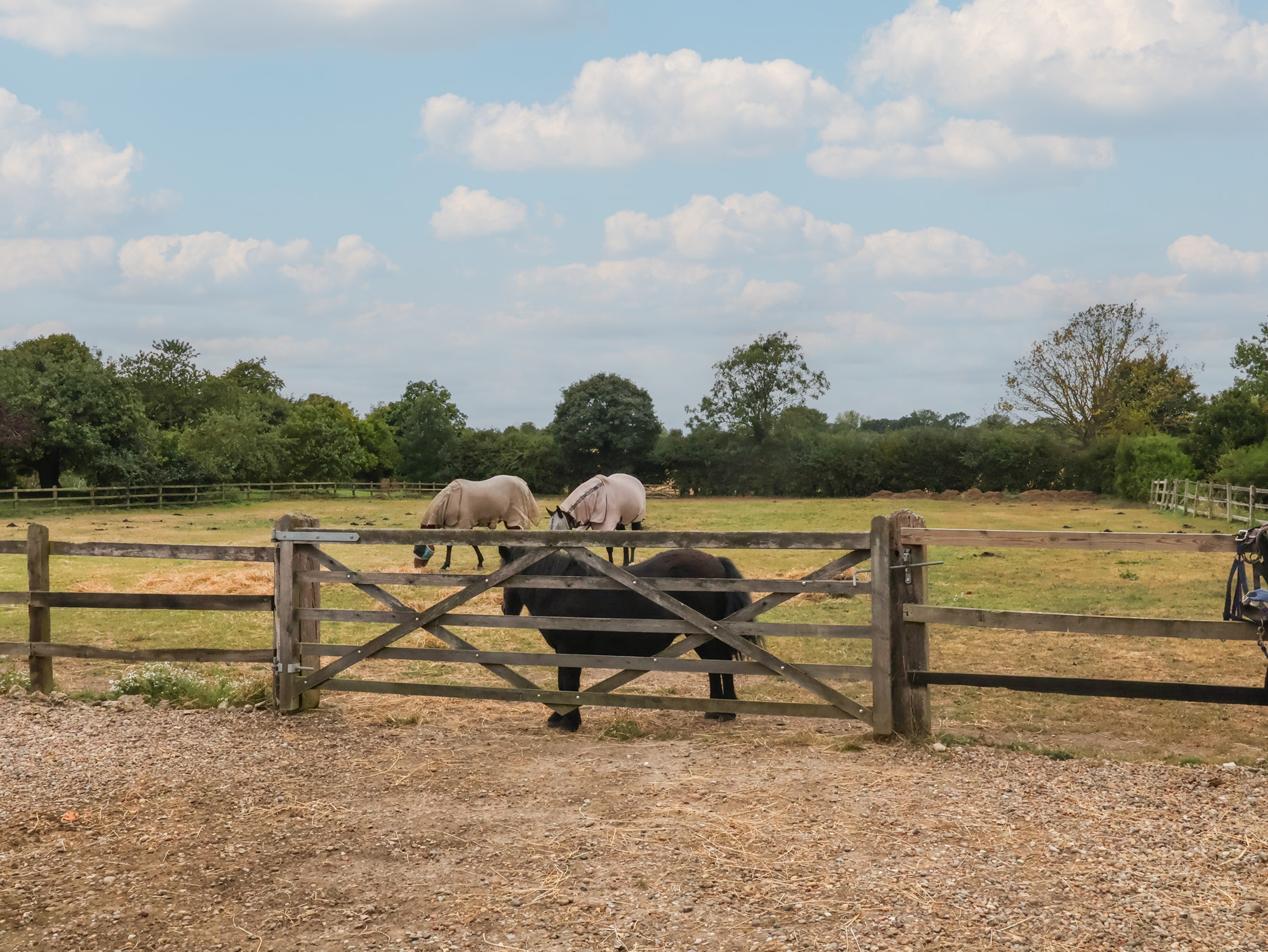 Property image 26 for SC1137277