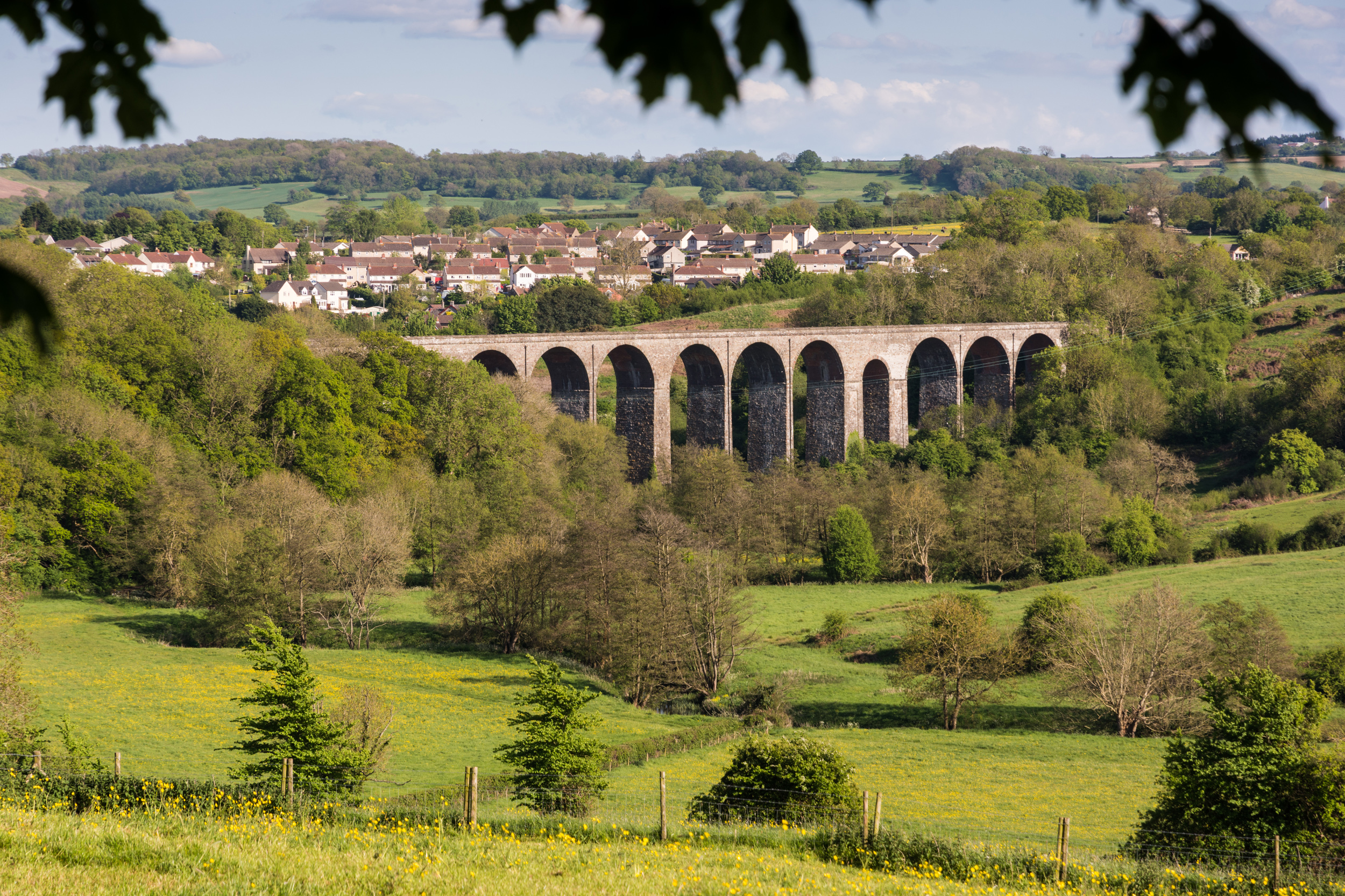 Property image 25 for SC1137806