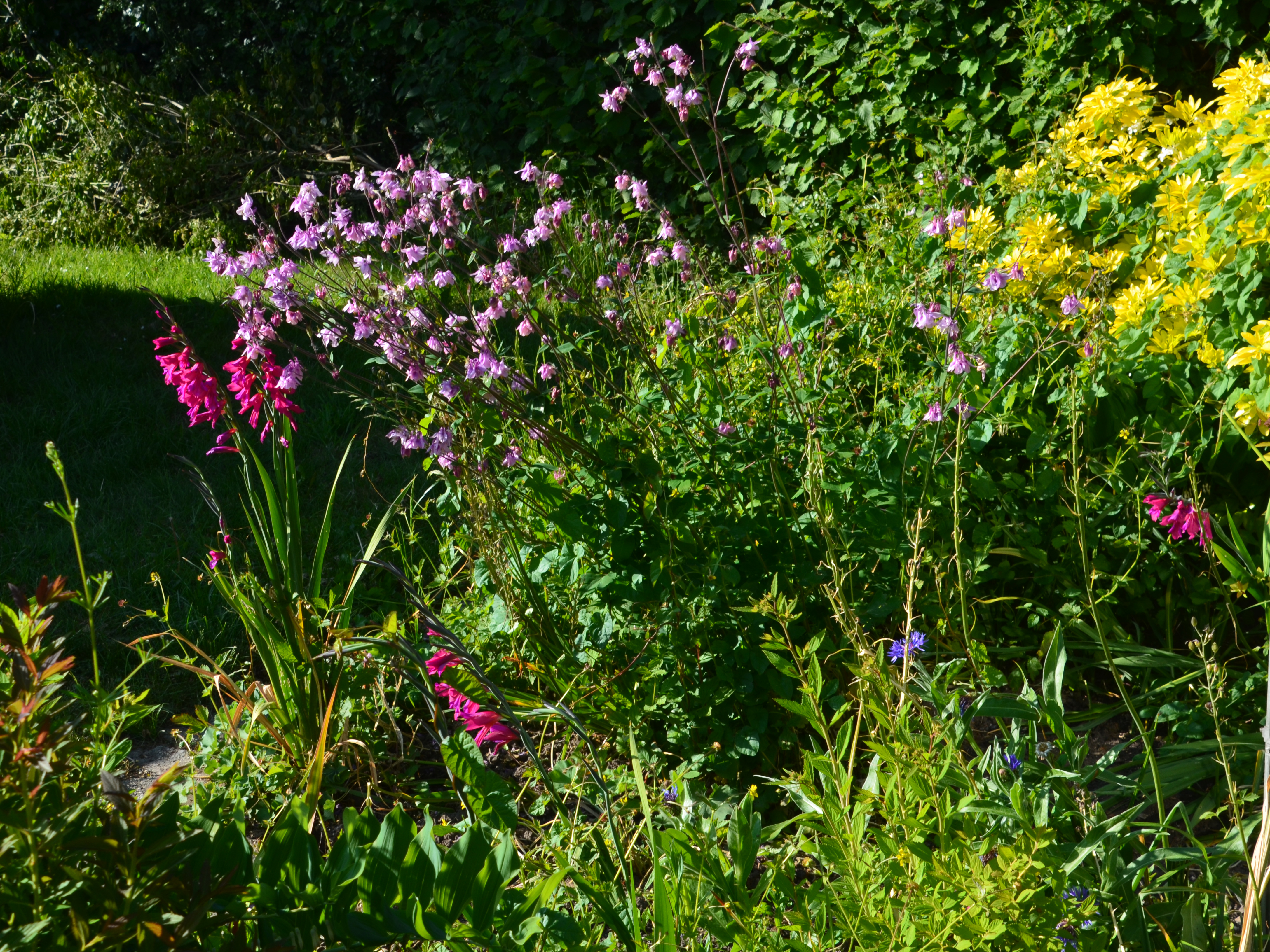 Property image 29 for SC1138091