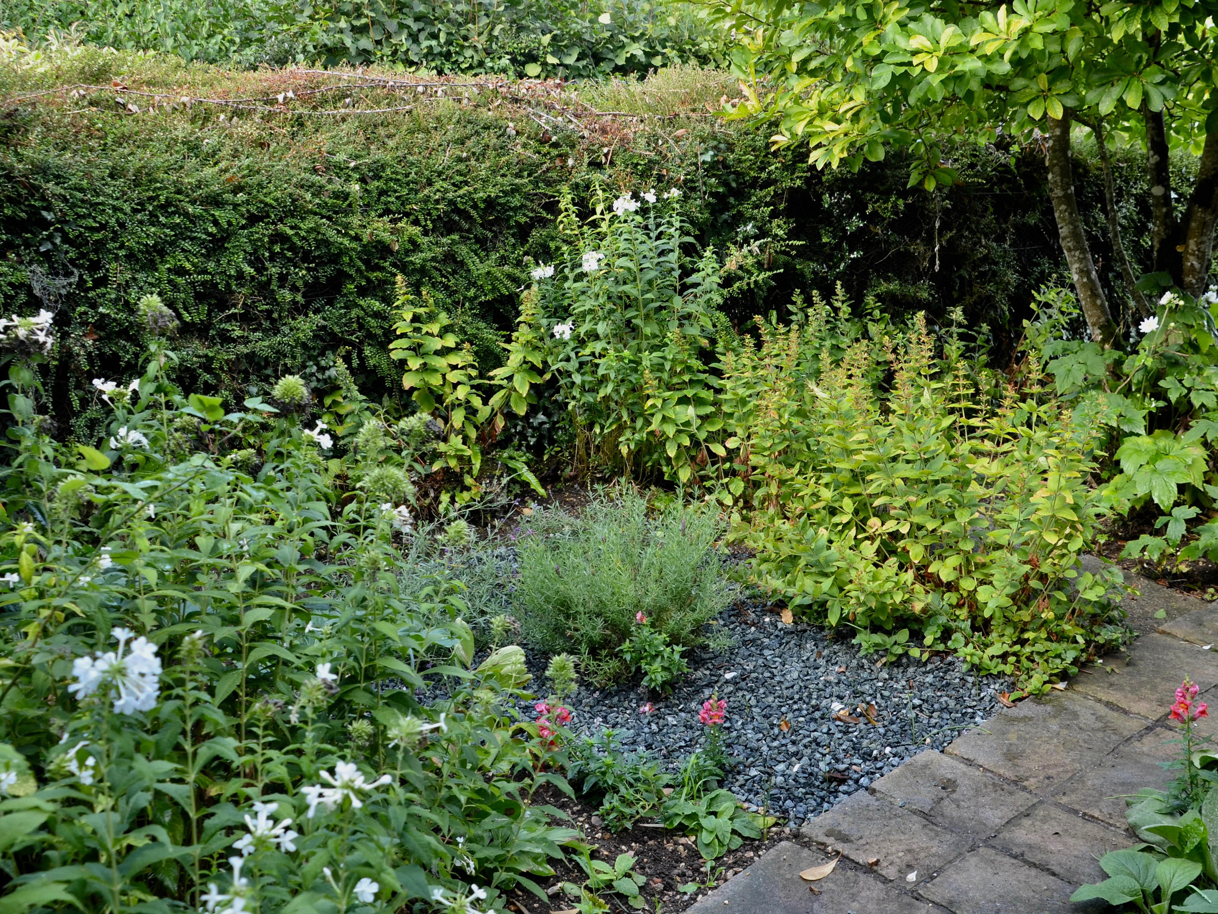 Property image 28 for SC1138091