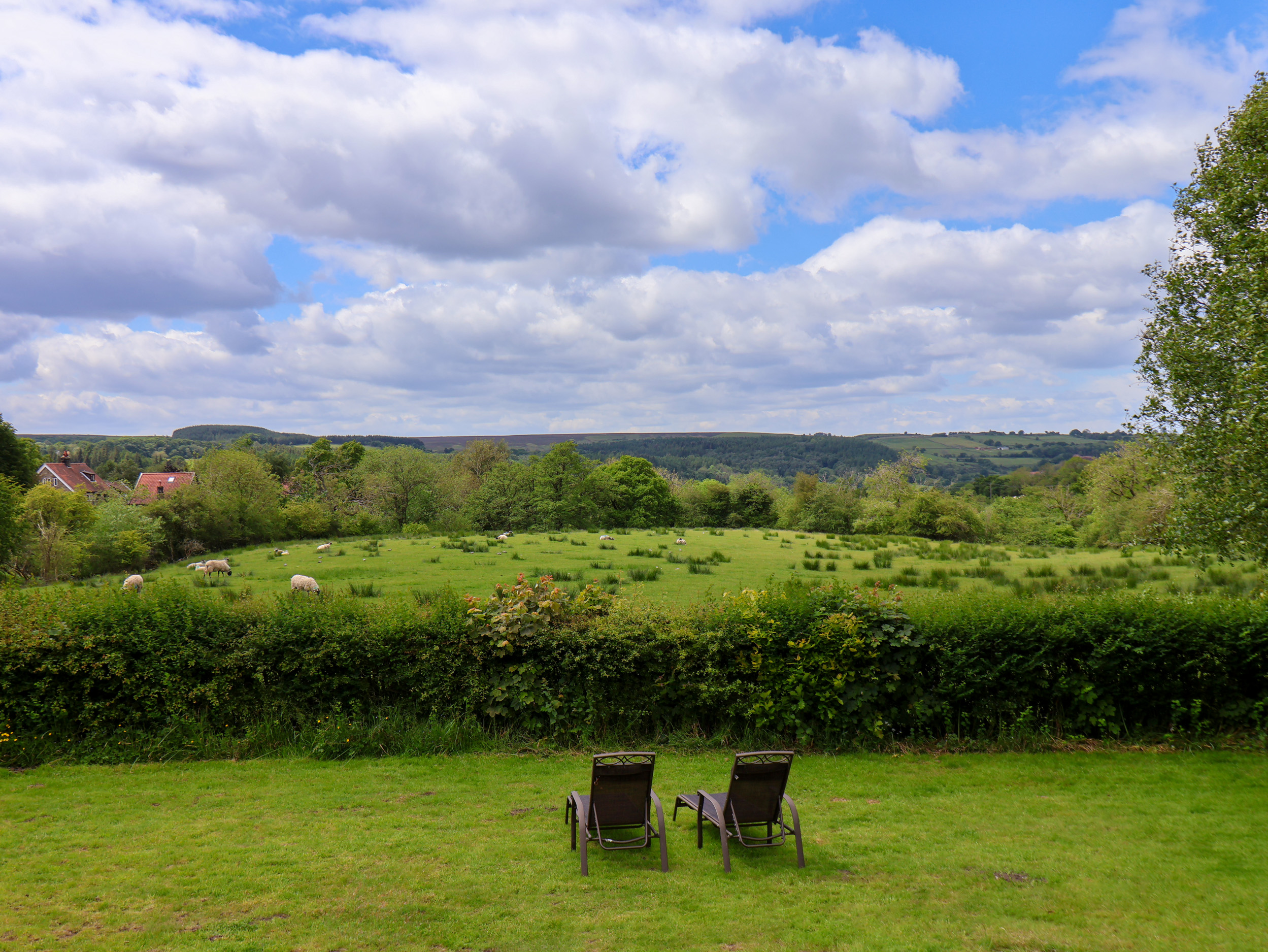 Property image 25 for SC1138201