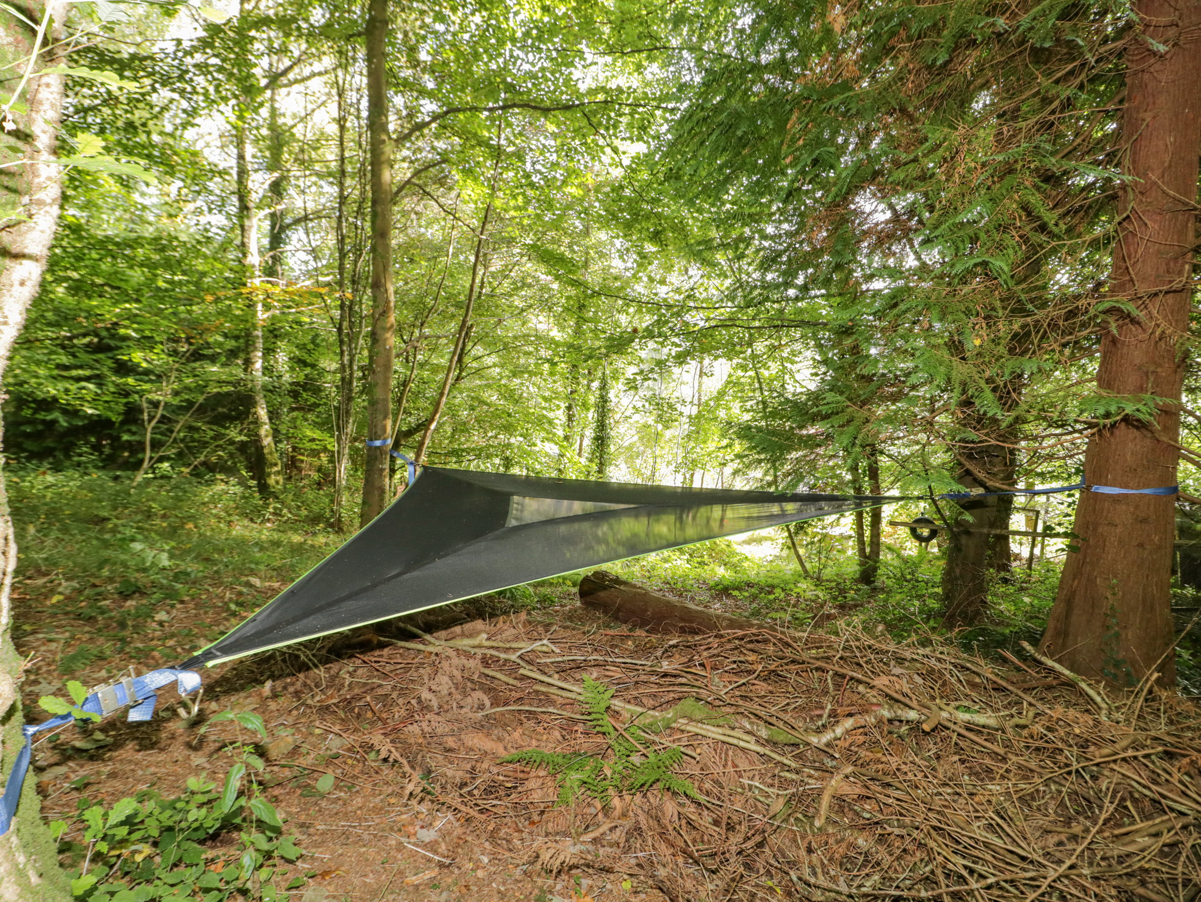 Property image 21 for SC1138259