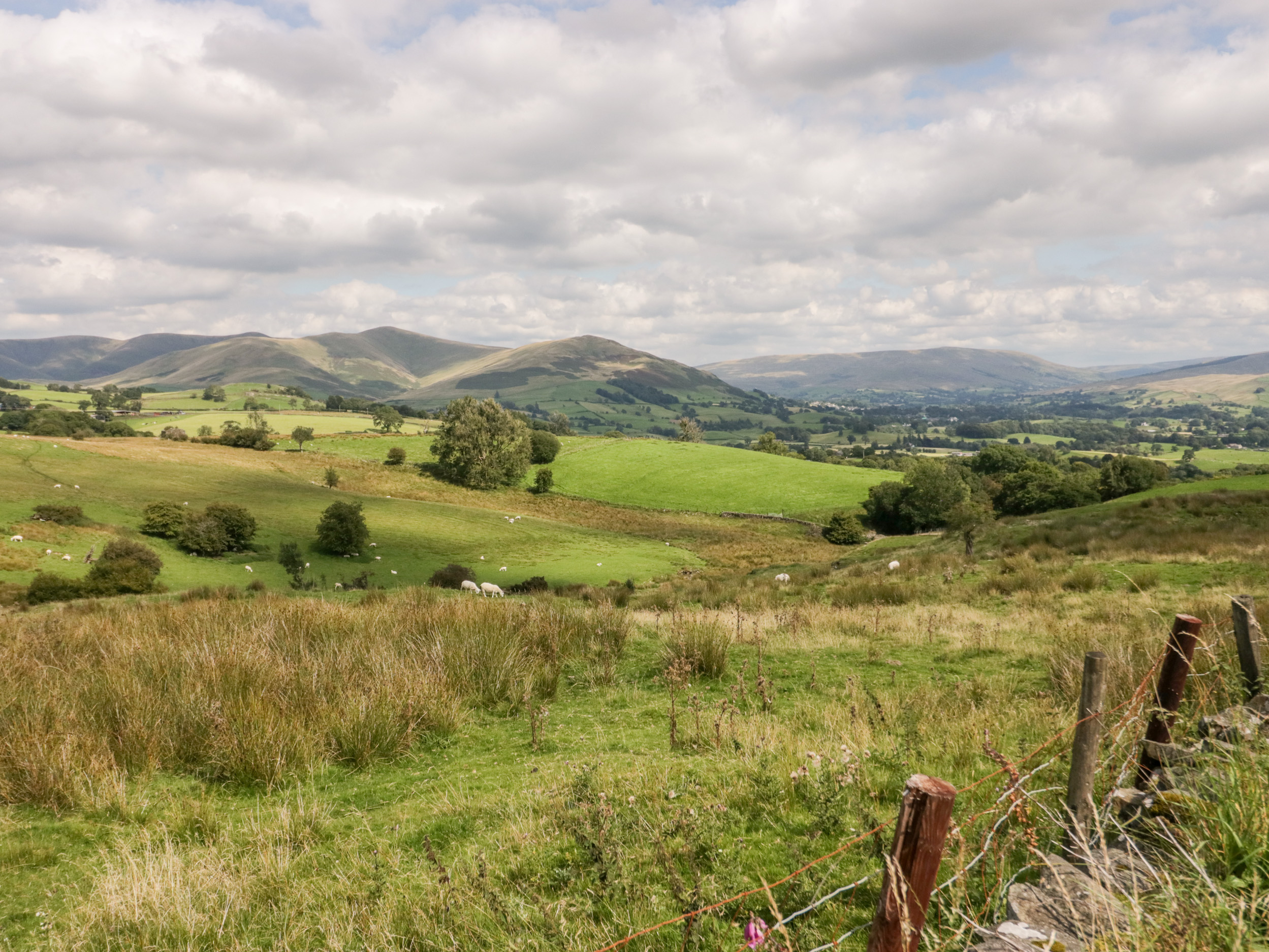 Property image 35 for SC1138458