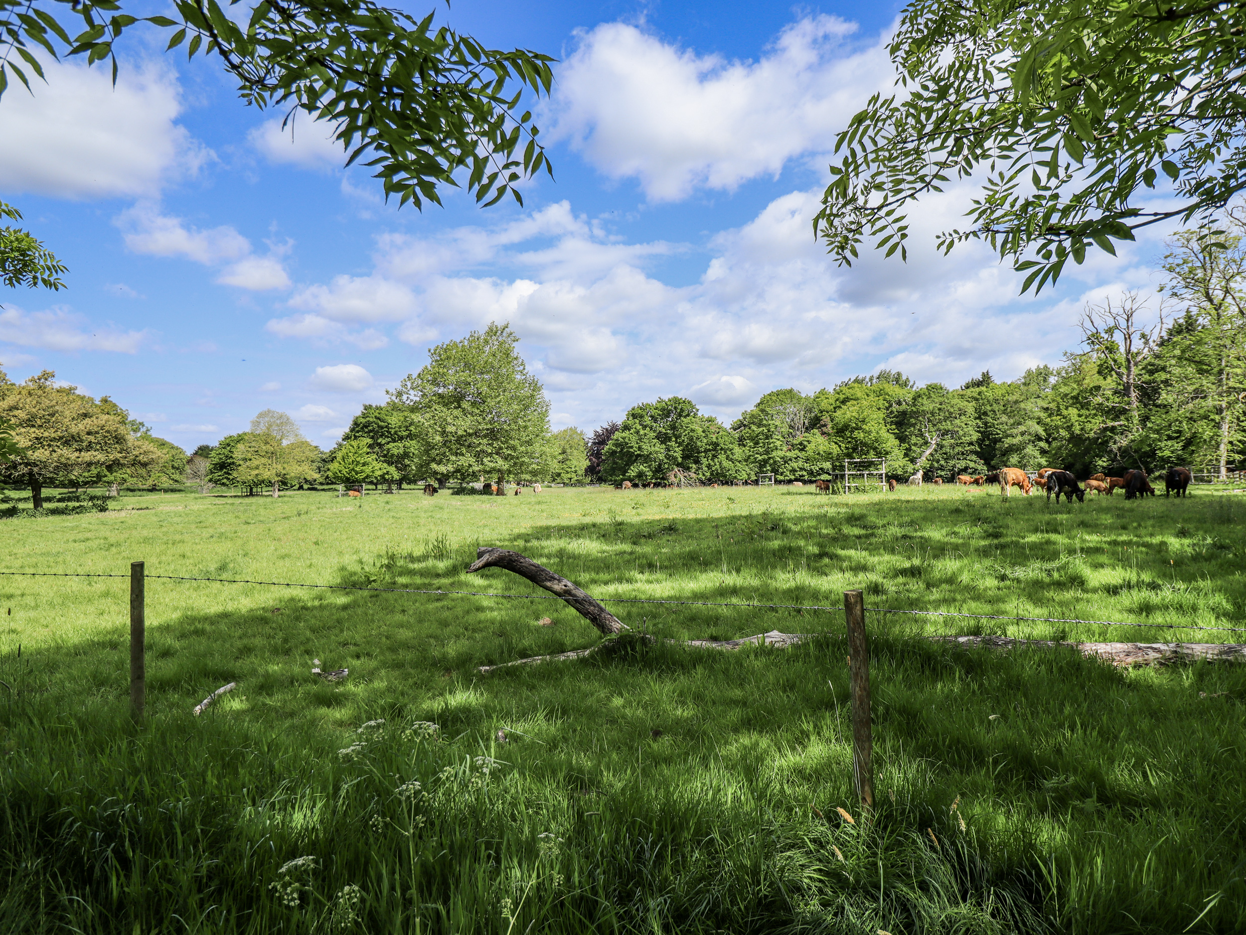 Property image 21 for SC1139198