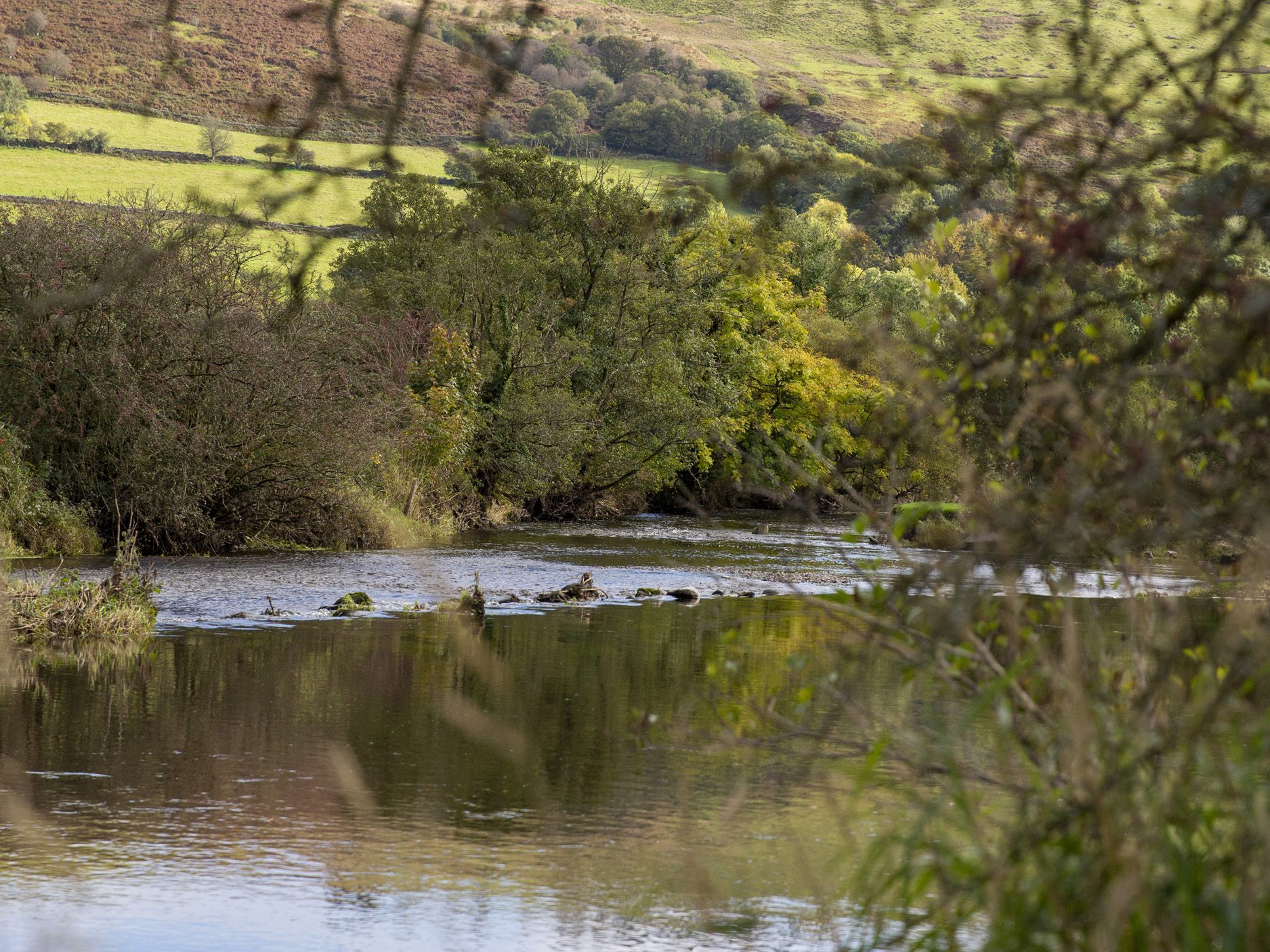 Property image 26 for SC1139455