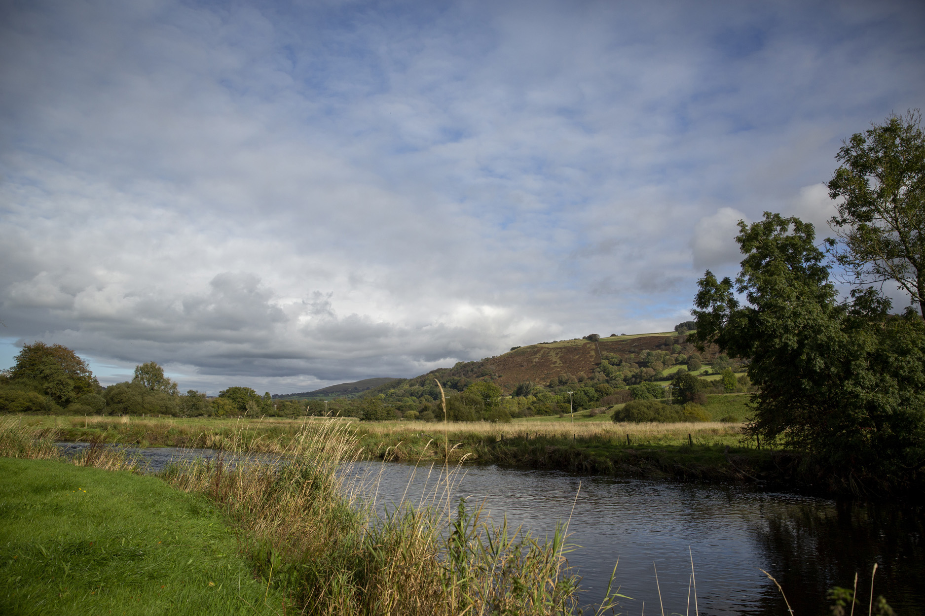 Property image 29 for SC1139455