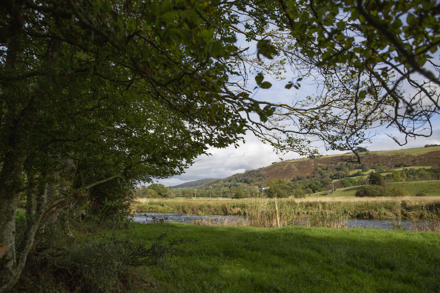 Property image 30 for SC1139455