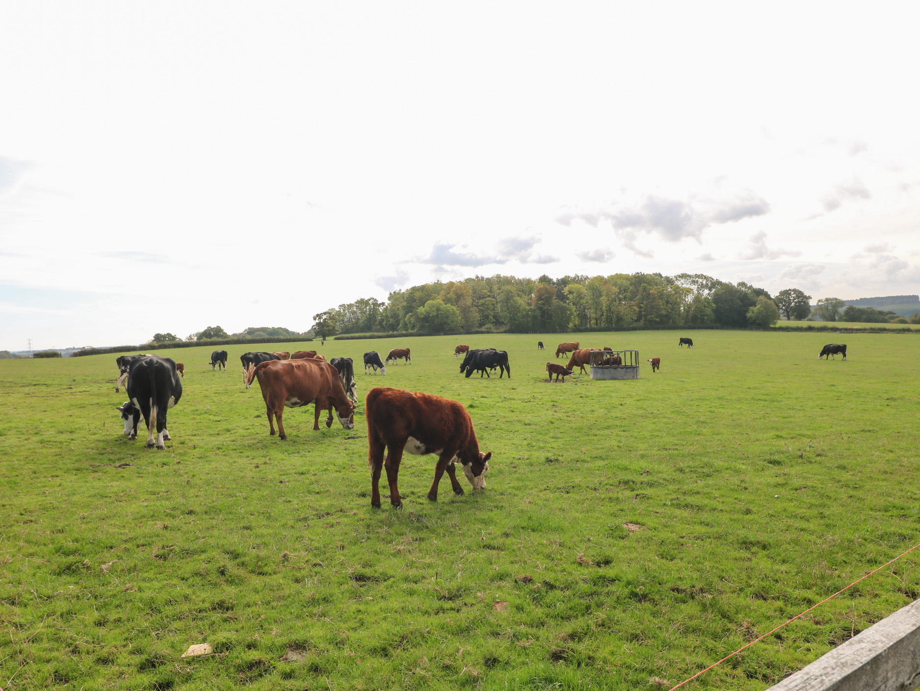 Property image 24 for SC1140165