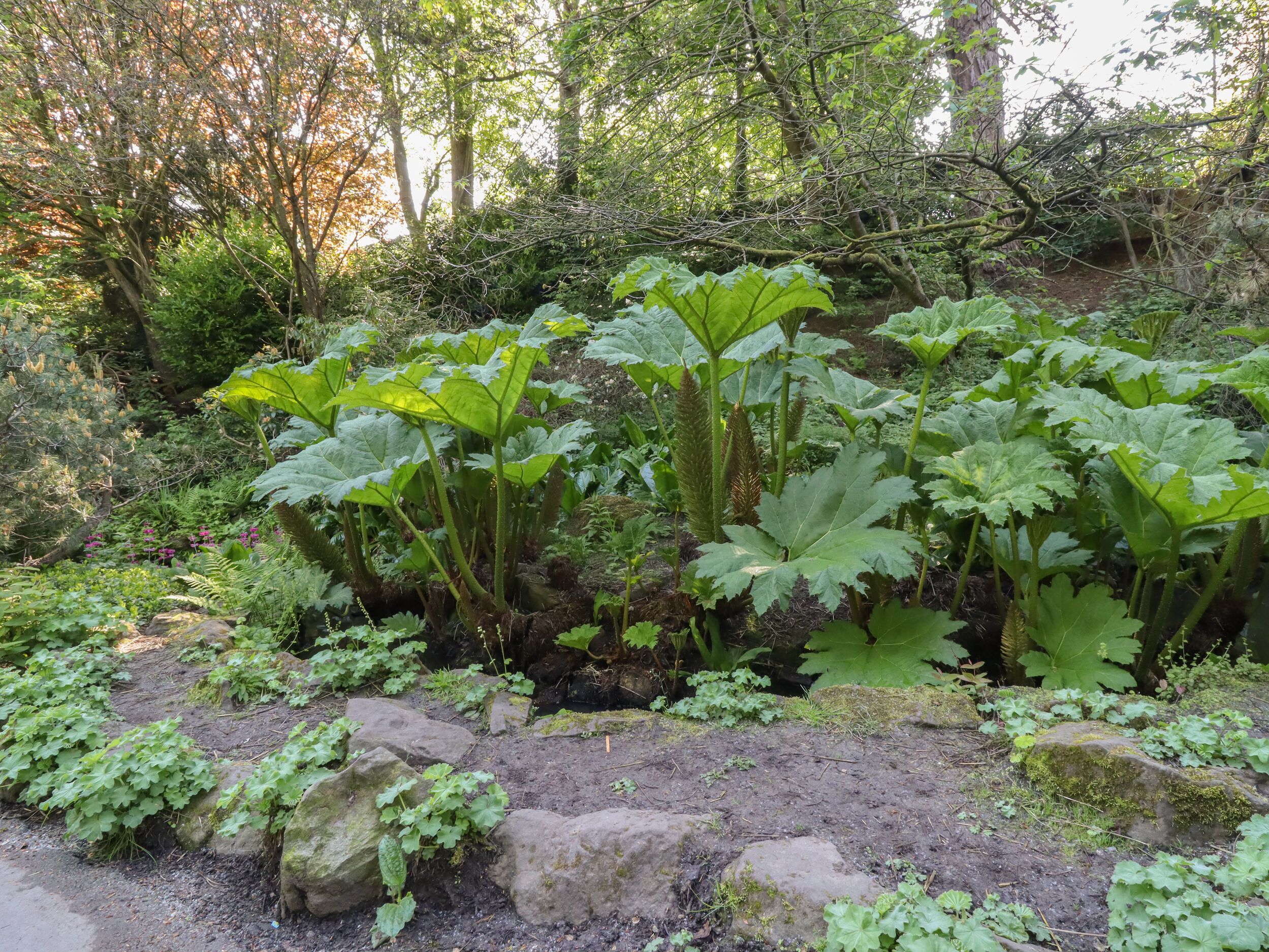 Property image 25 for SC1140186