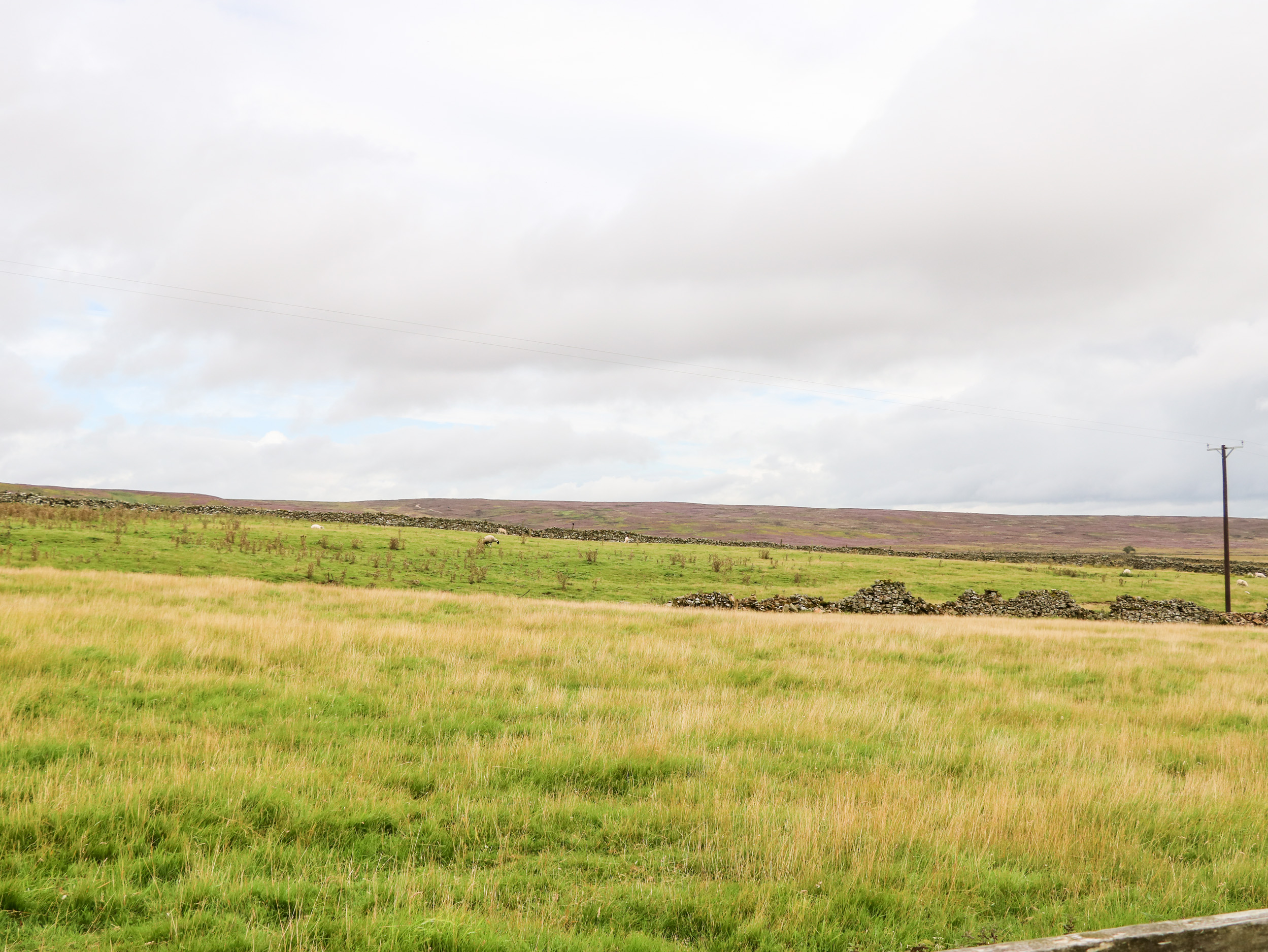 Property image 20 for SC1140216