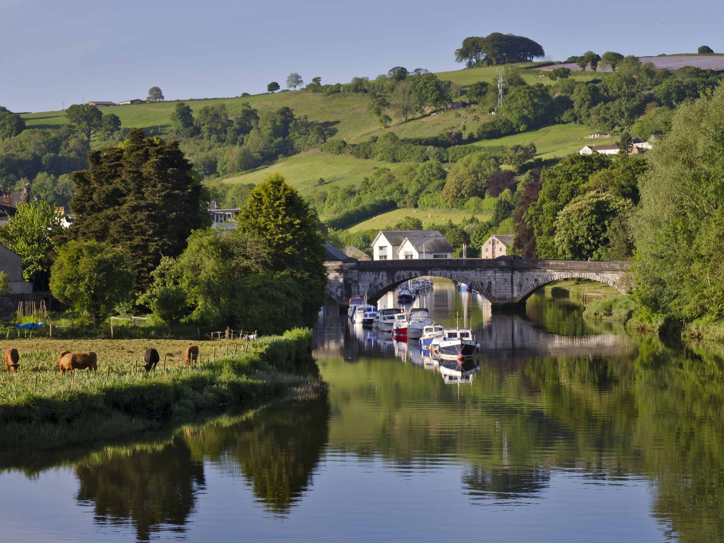 Property image 25 for SC1140455