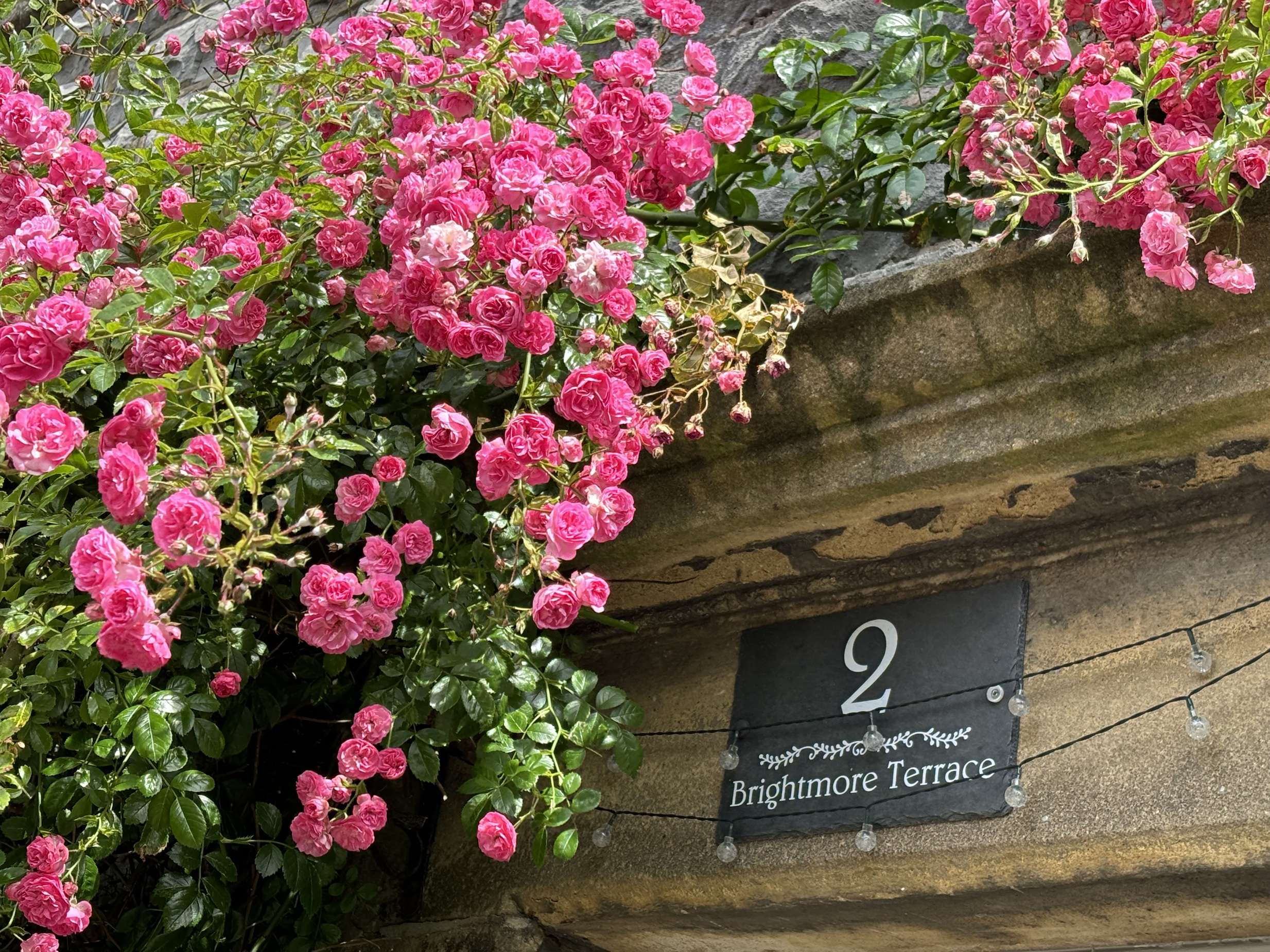 Property image 27 for SC1140660