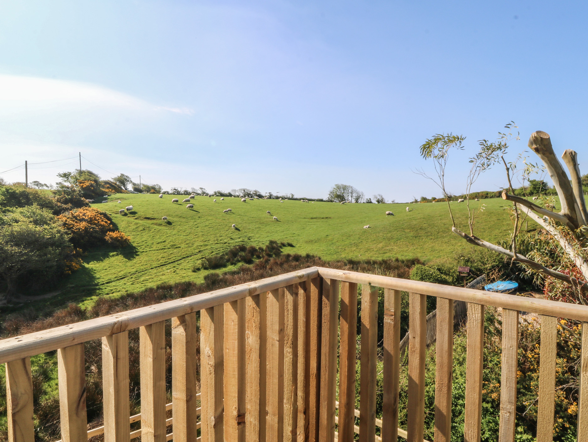 Property image 6 for SC1141225