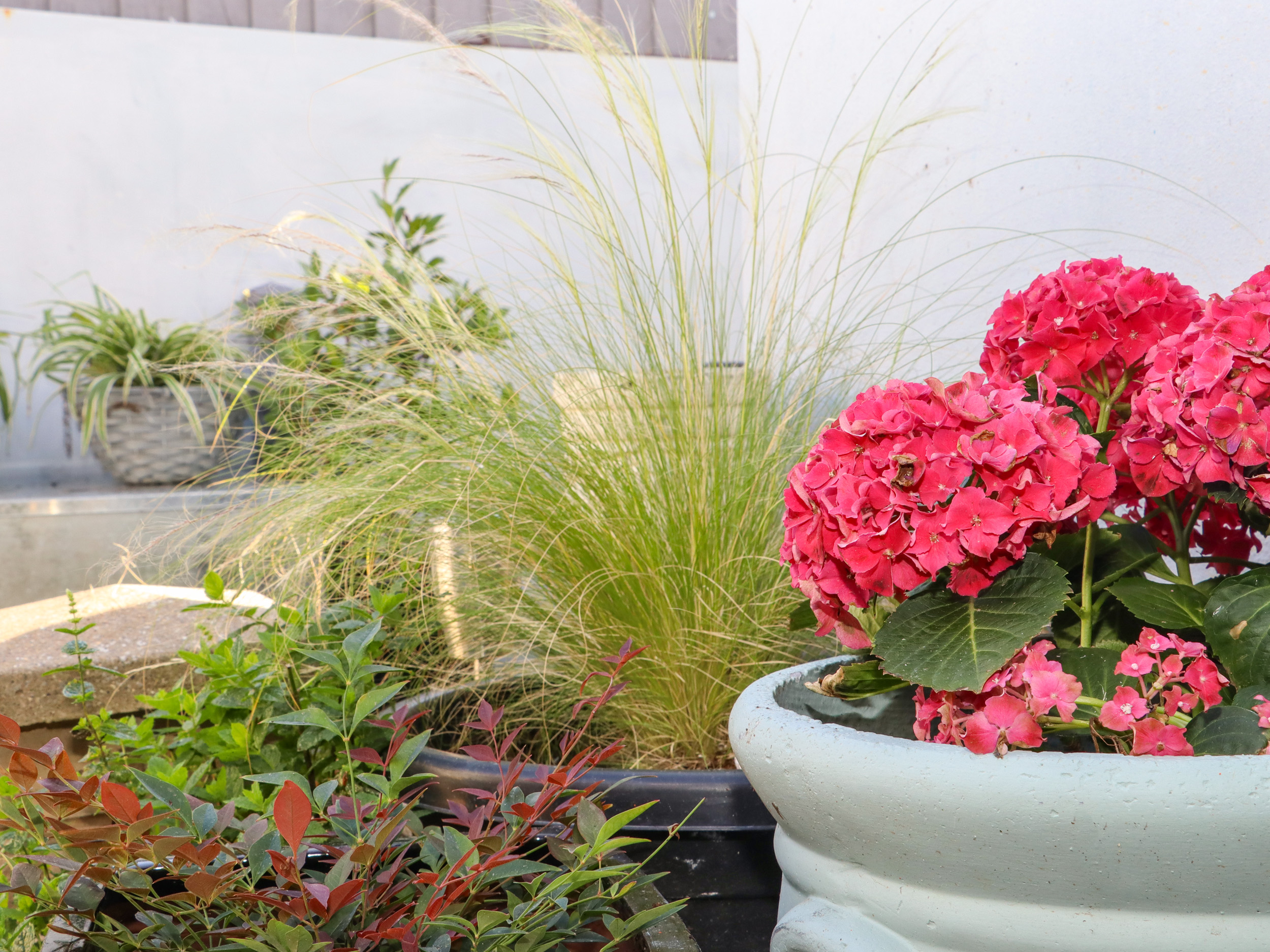 Property image 30 for SC1141488