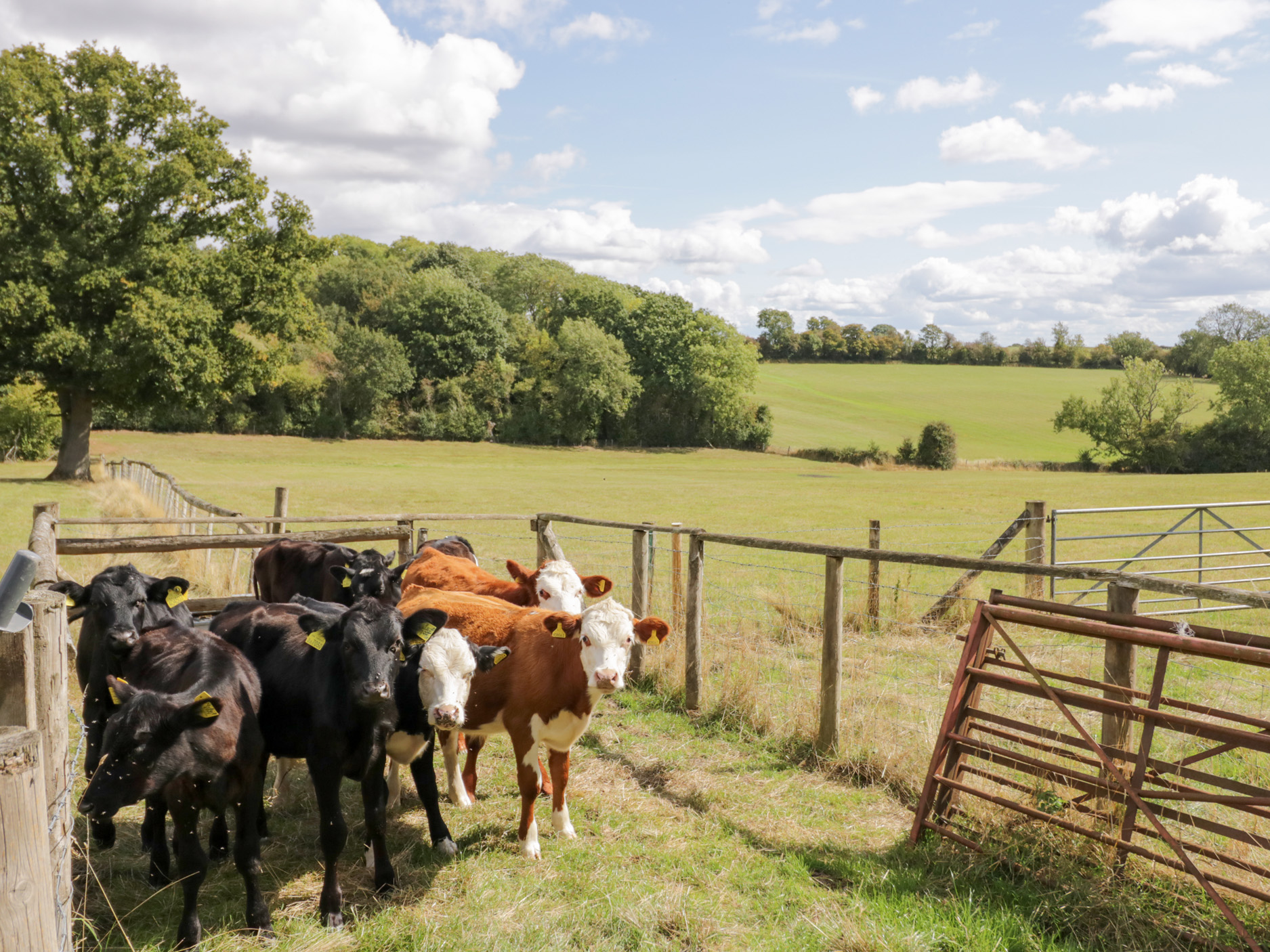 Property image 30 for SC1141793