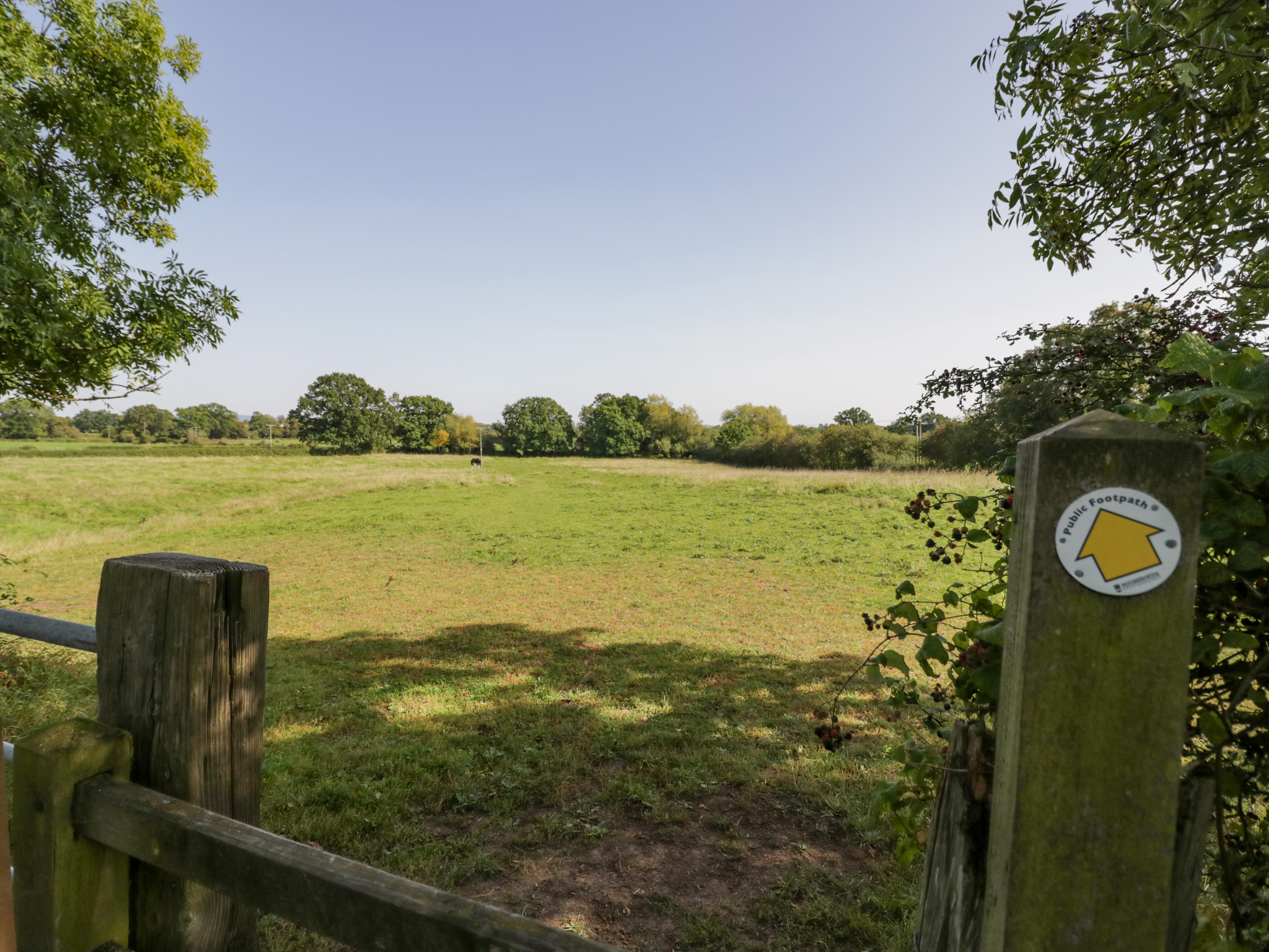 Property image 24 for SC1142756