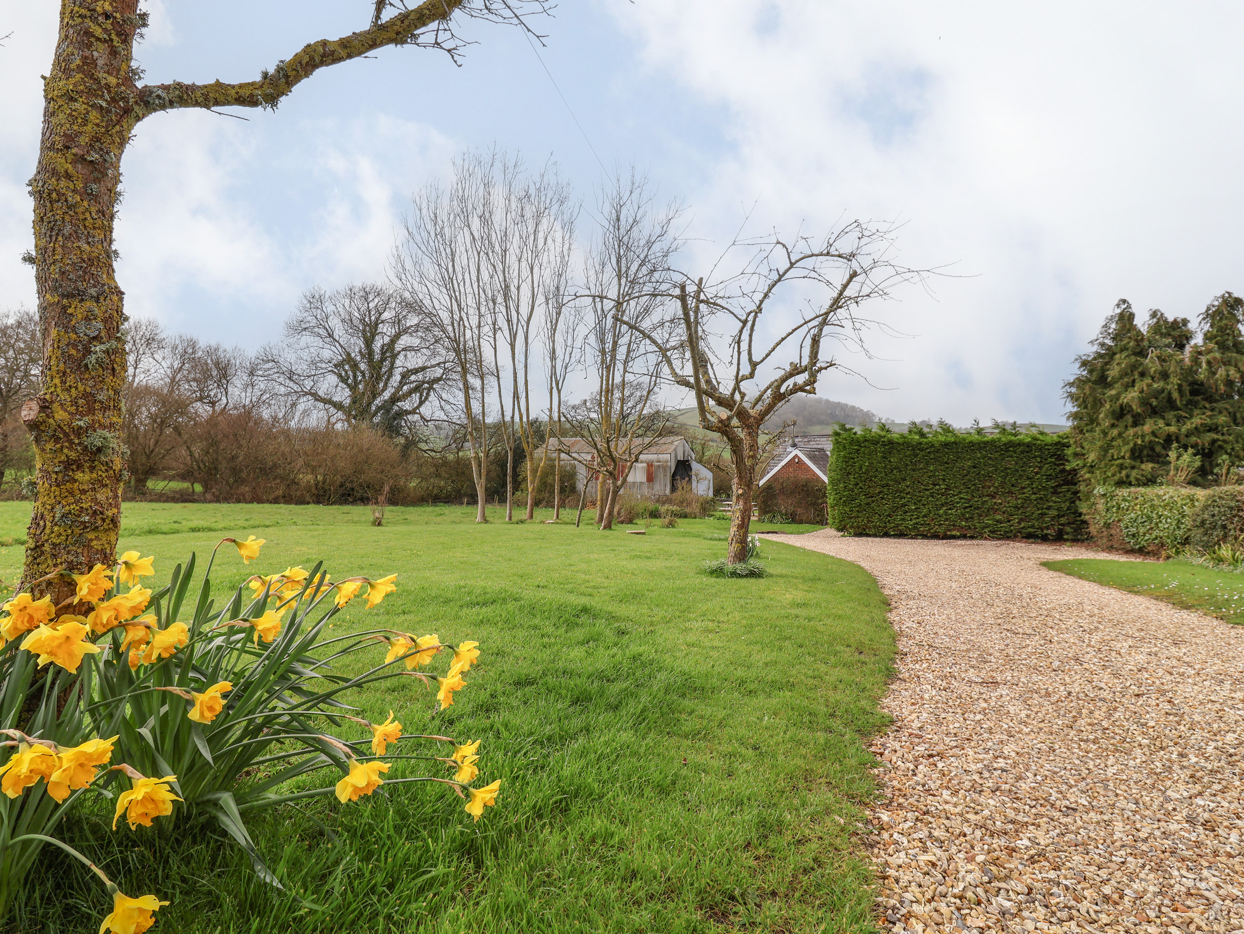 Property image 18 for SC1142875