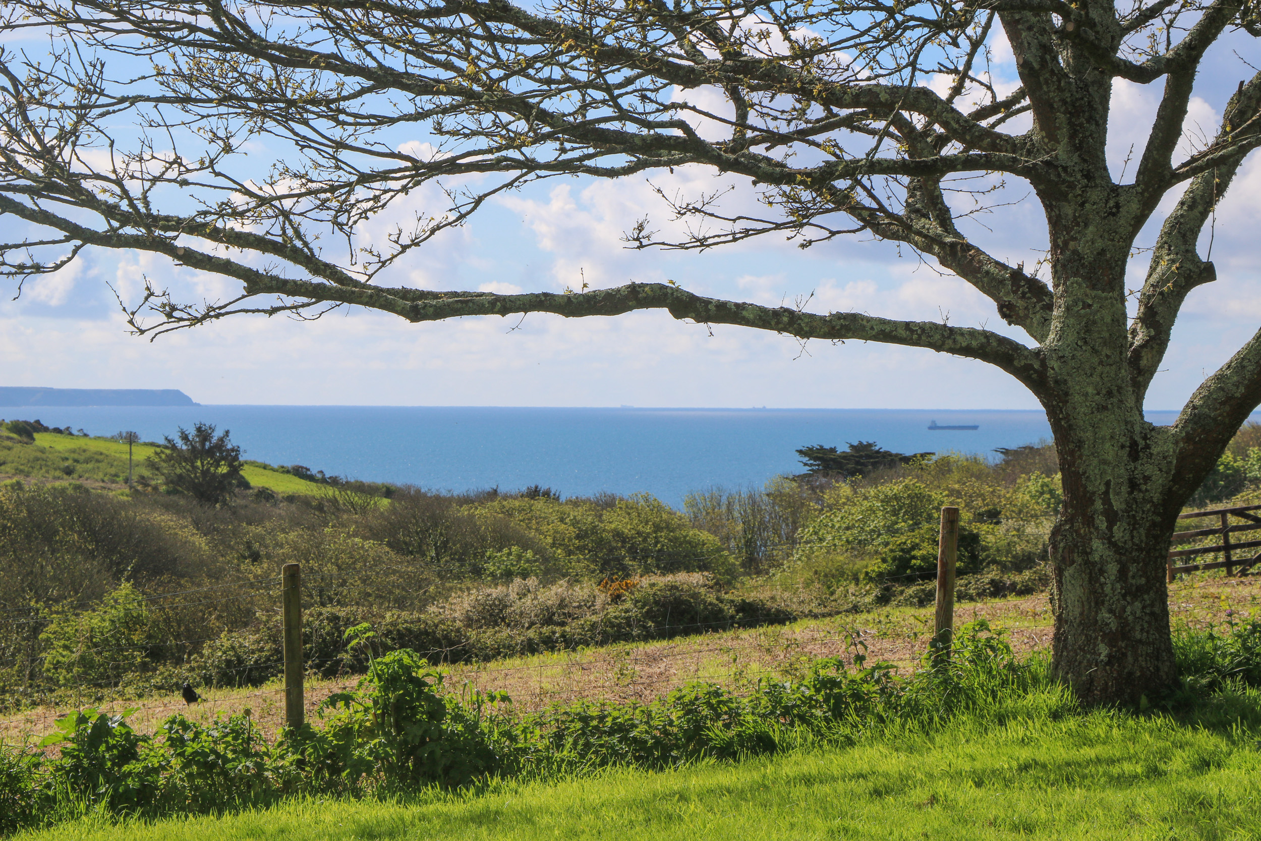 Property image 26 for SC1143670