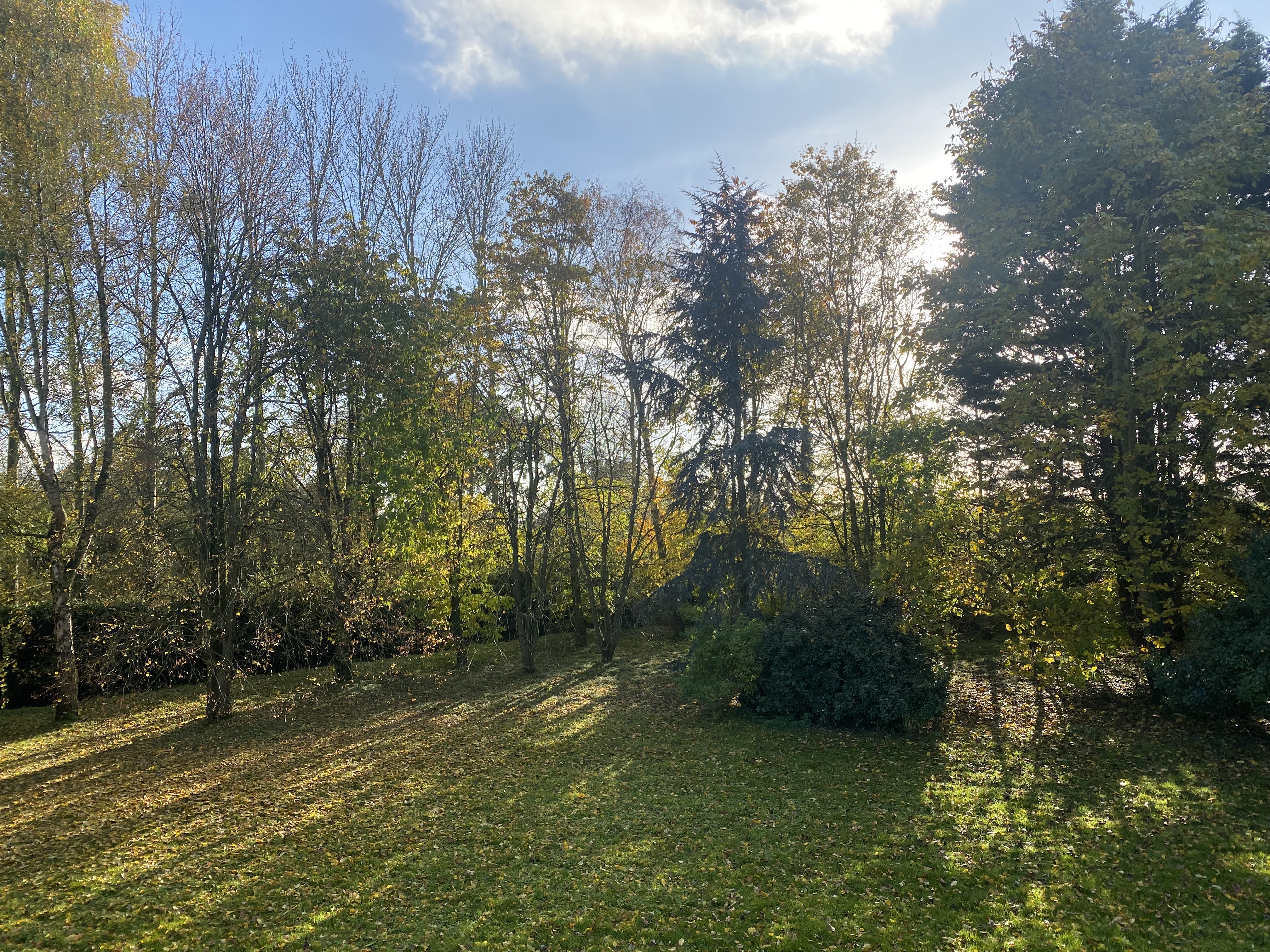 Property image 26 for SC1143998