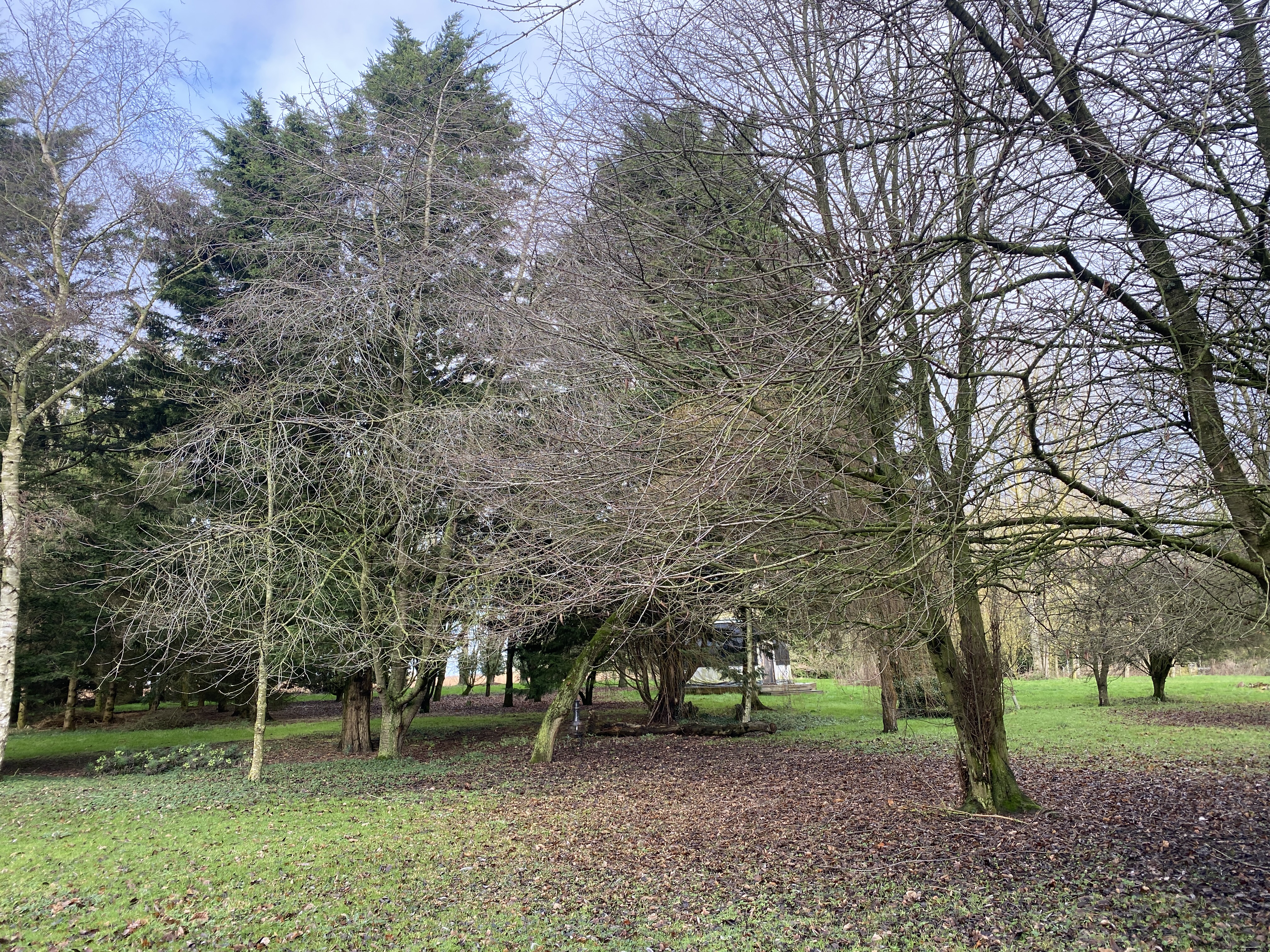 Property image 28 for SC1143998