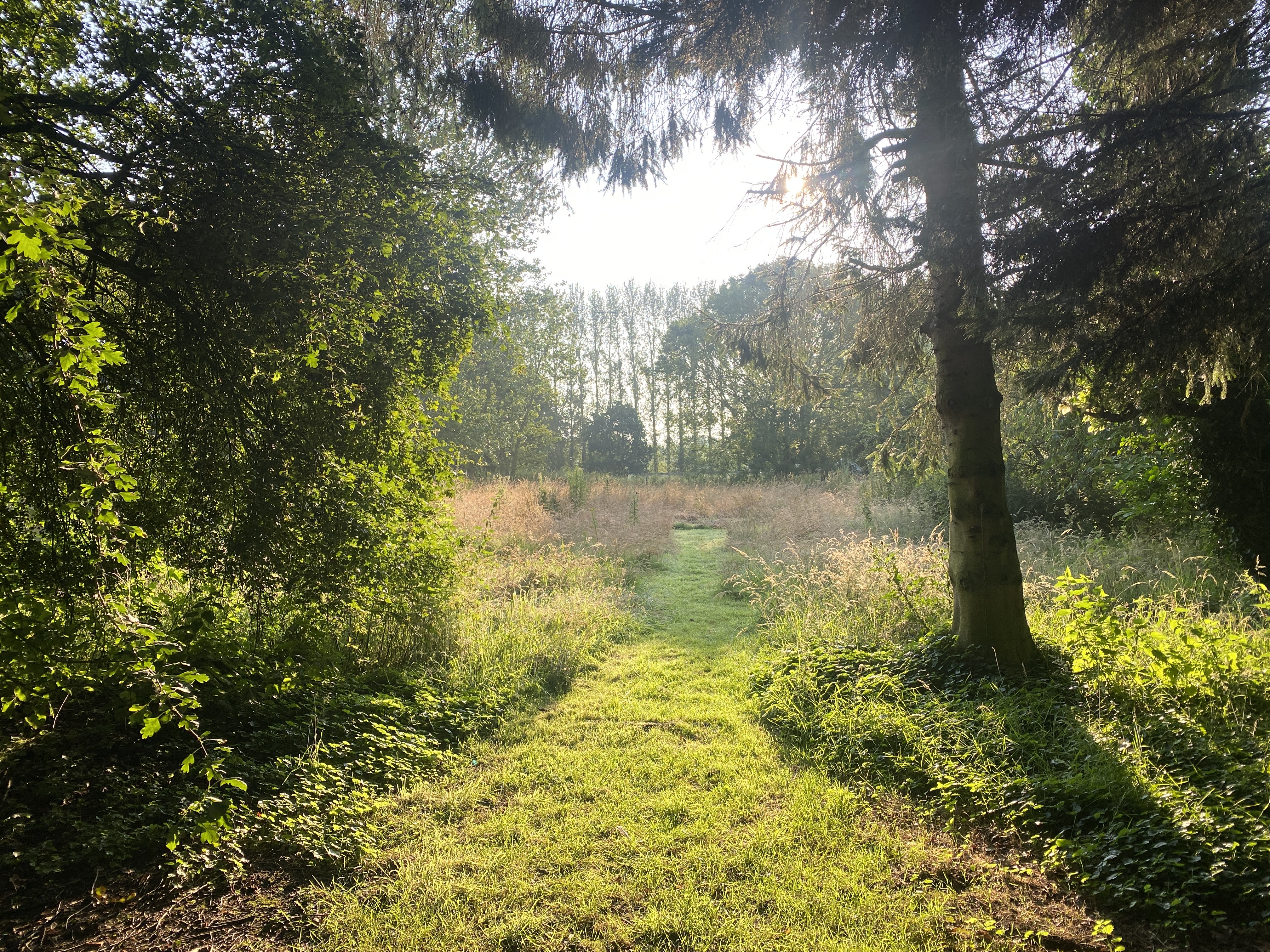 Property image 24 for SC1143998