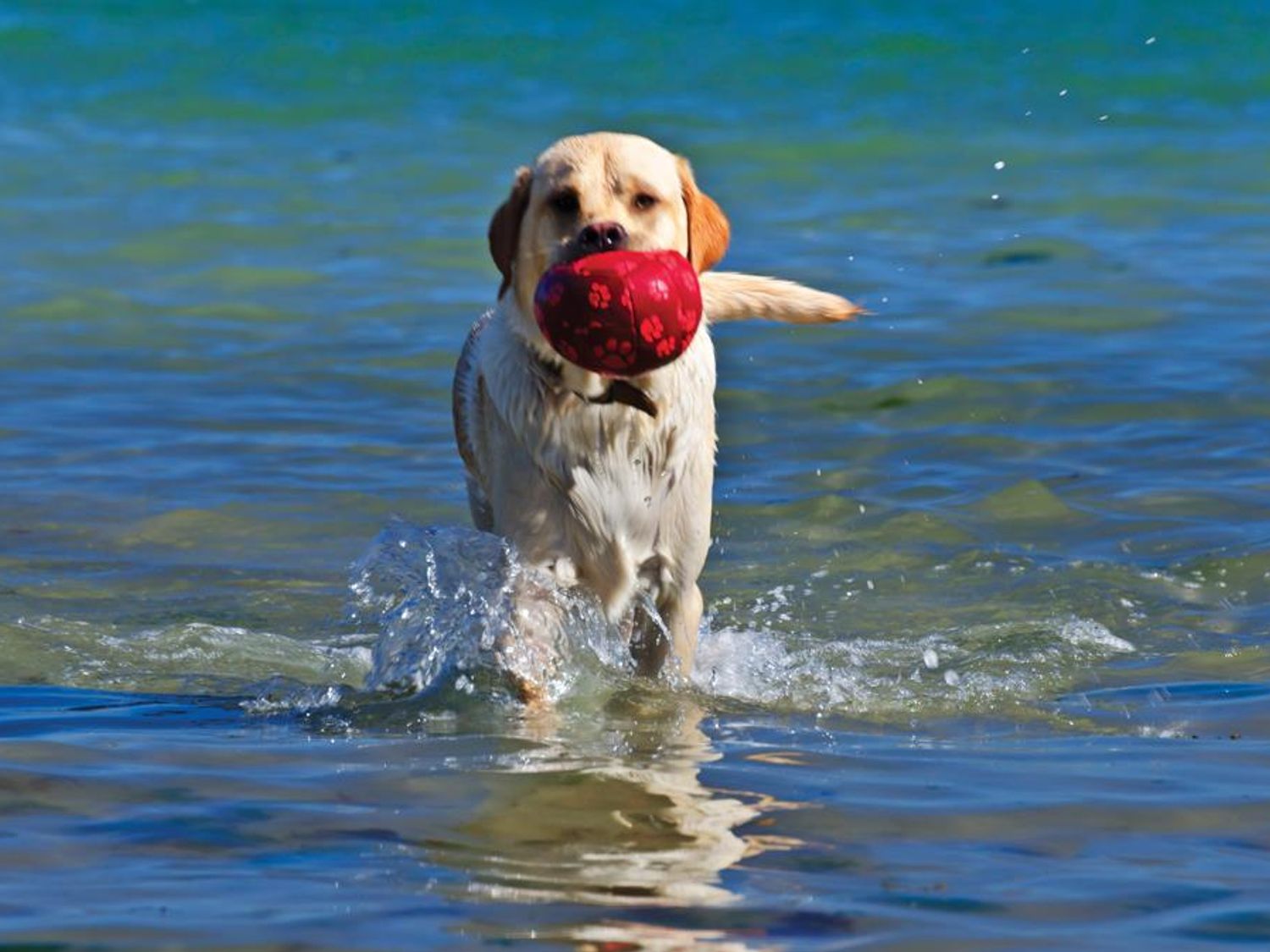 Property image 41 for SC1144047