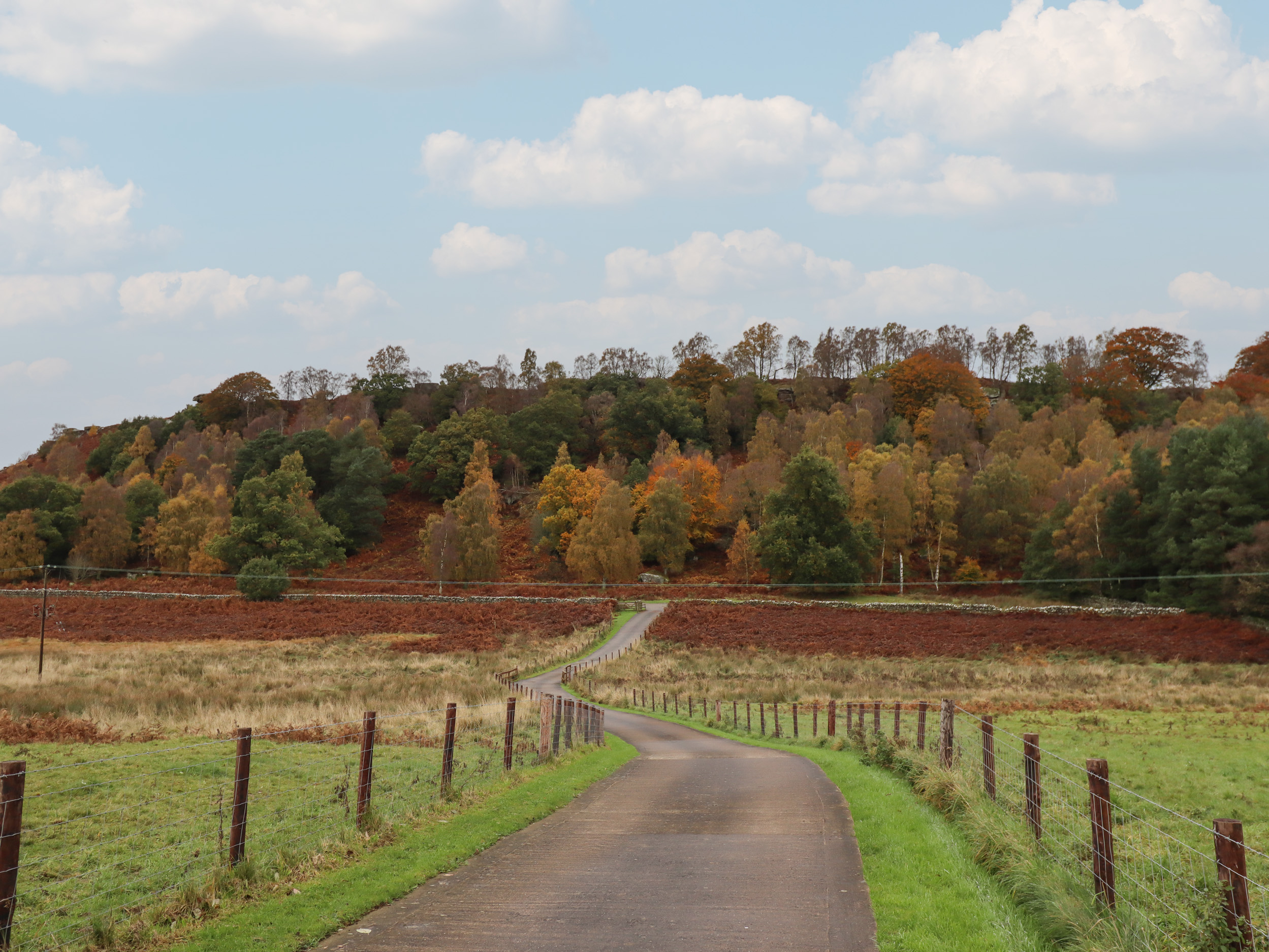 Property image 20 for SC1144232