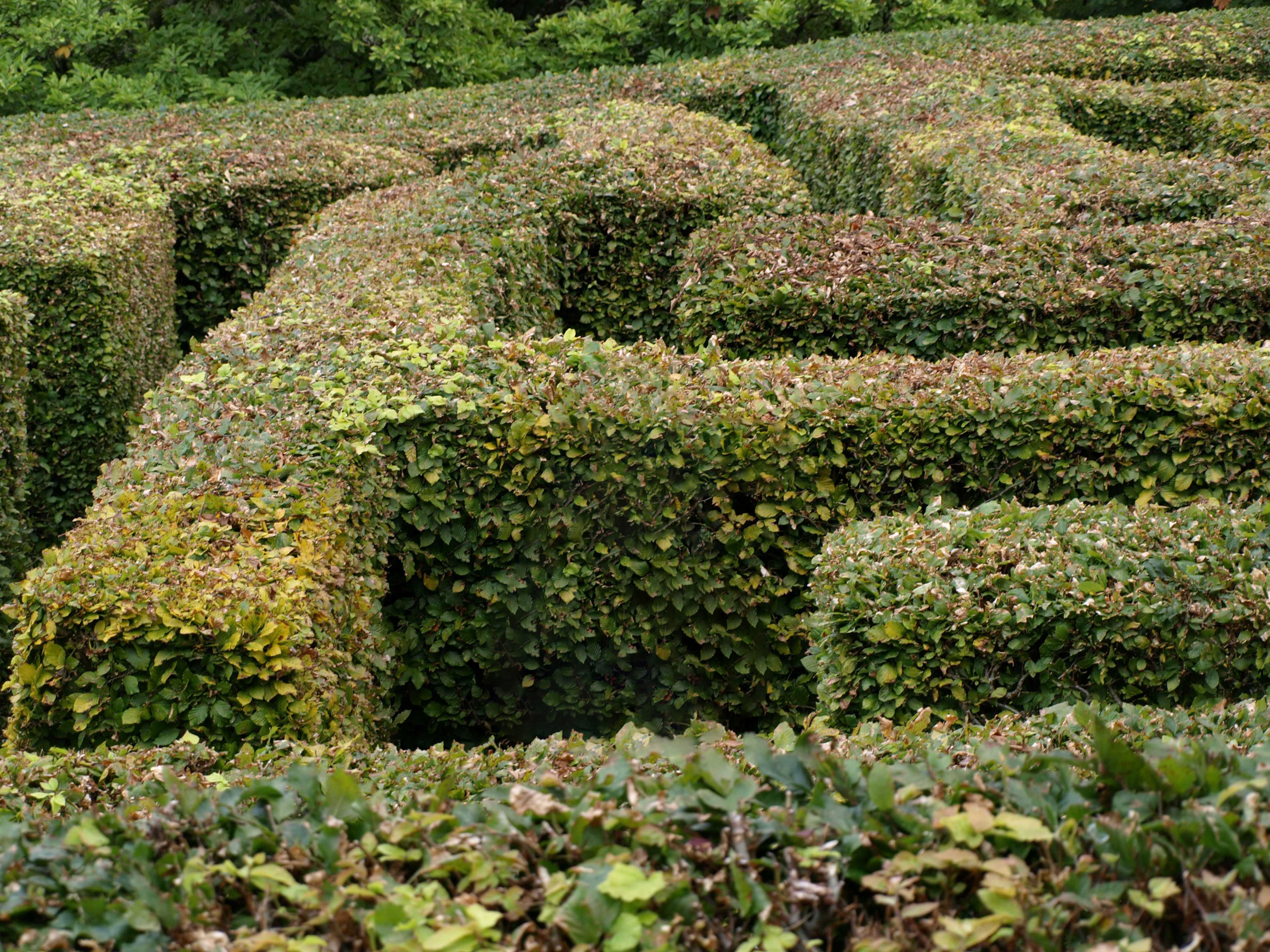 Property image 28 for SC1144506