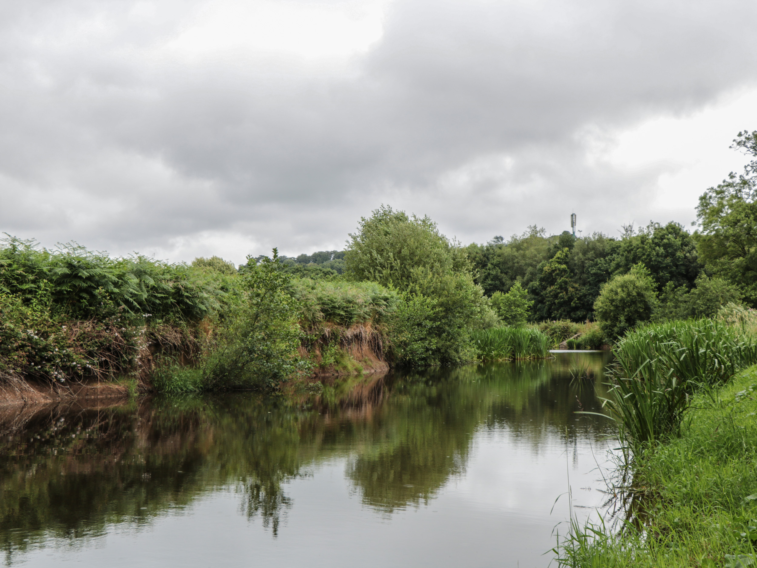 Property image 43 for SC1144929