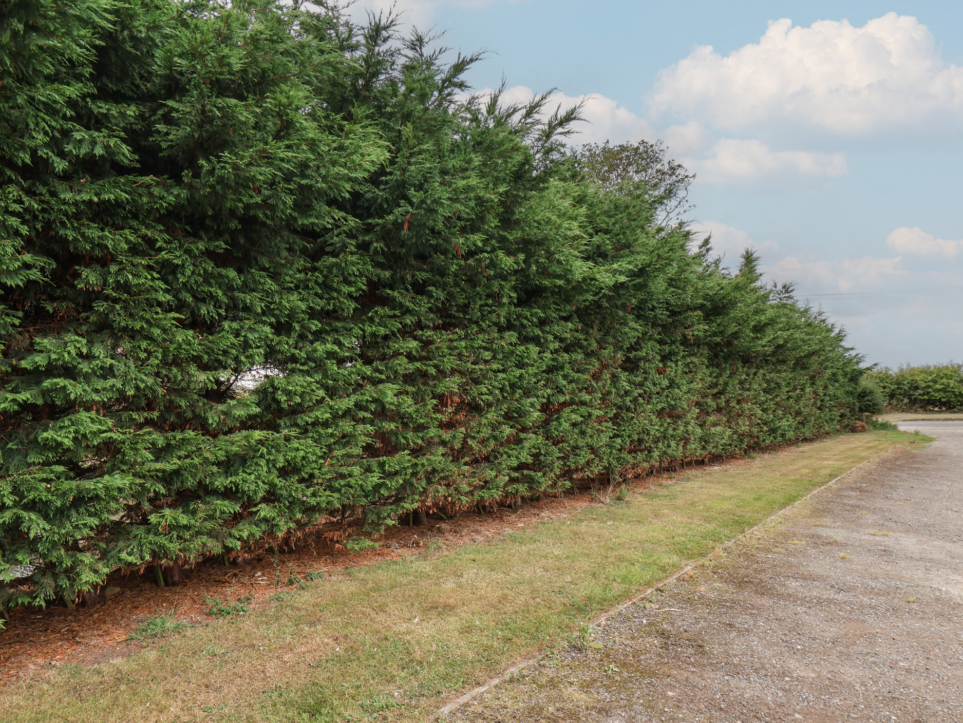 Property image 26 for SC1145152