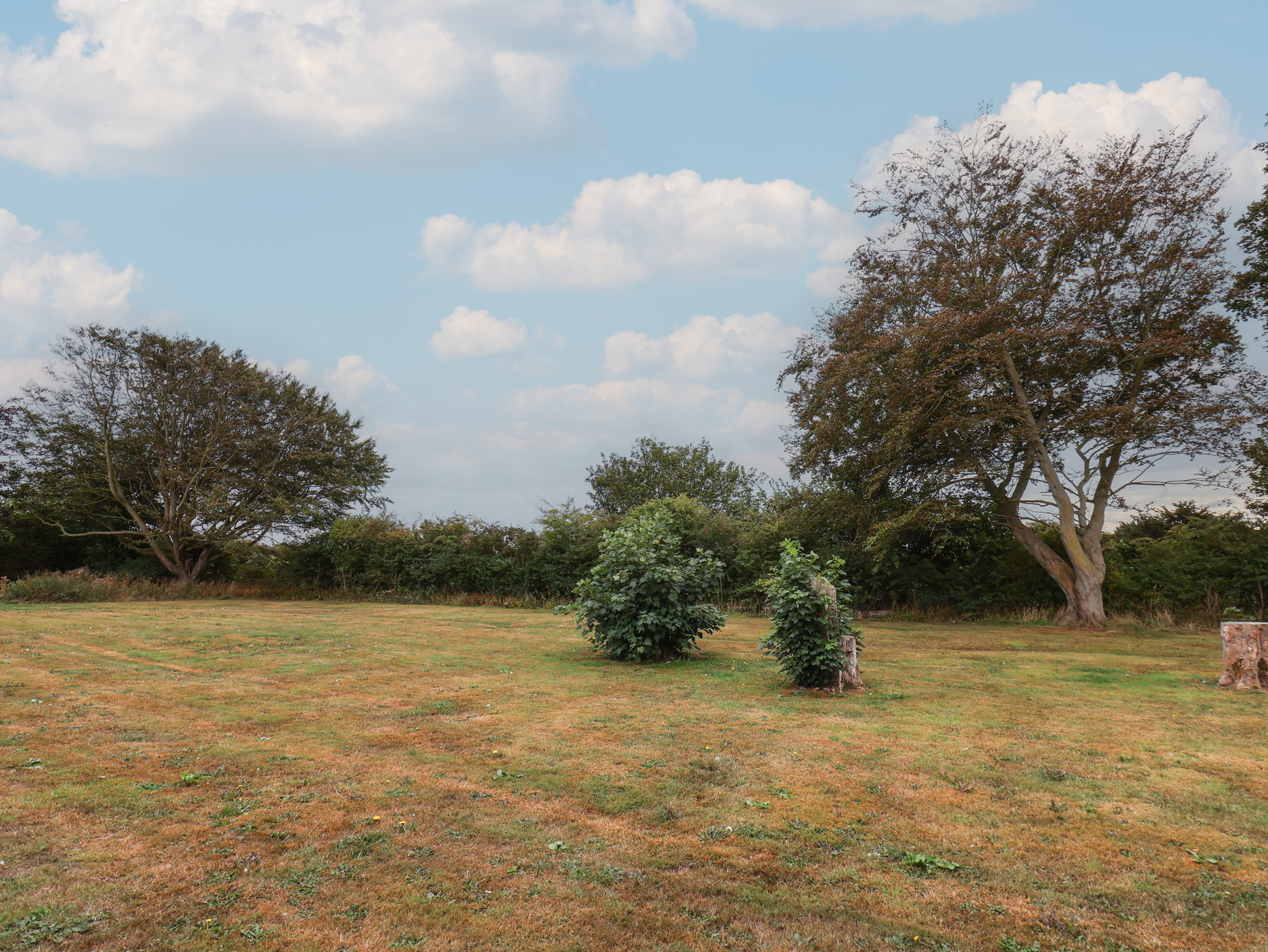 Property image 27 for SC1145153